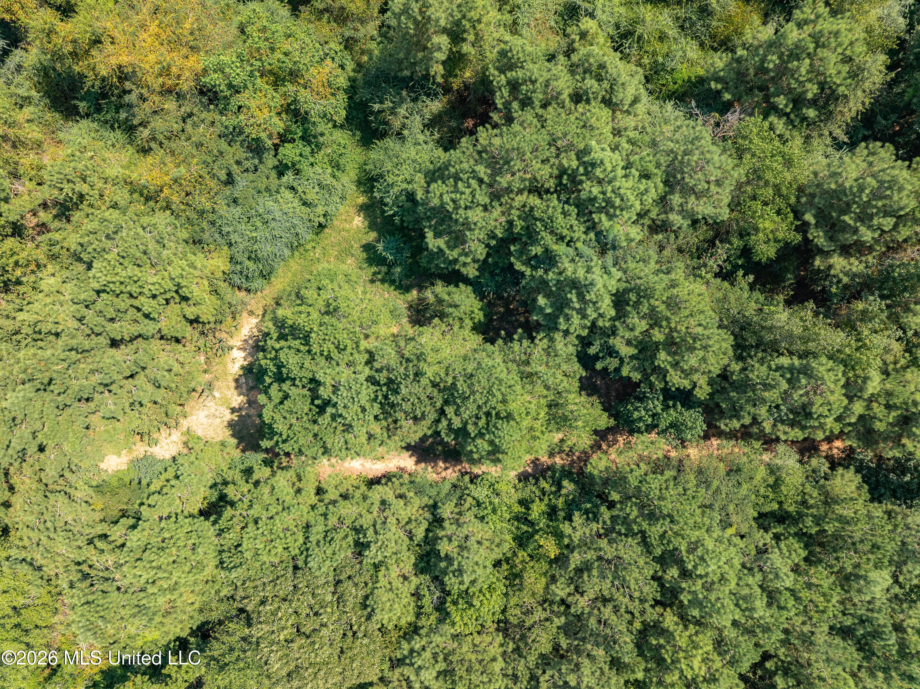 40 Acres Hwy 588 Property Photo 7