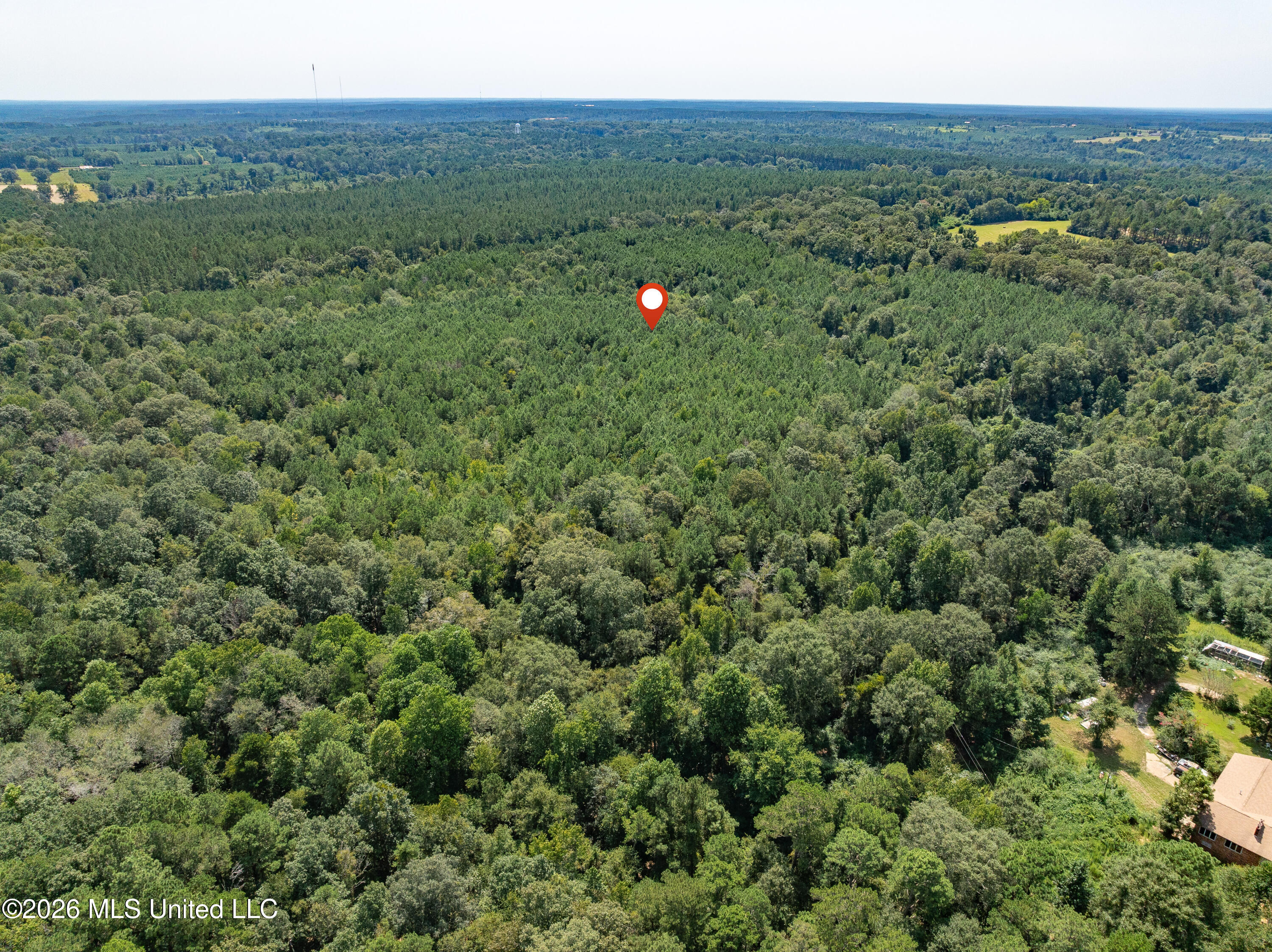 40 Acres Hwy 588 Property Photo 9