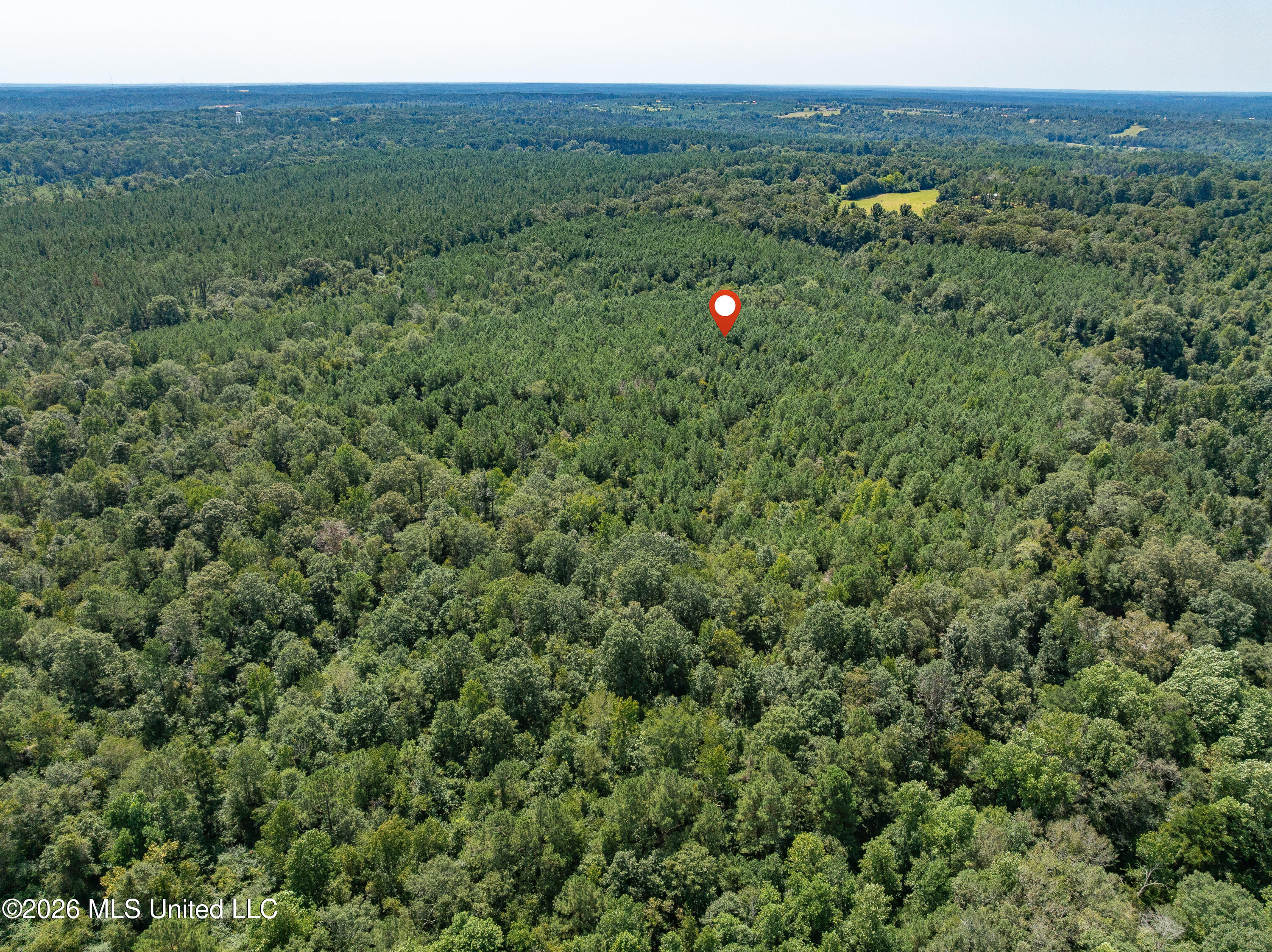 40 Acres Hwy 588 Property Photo 10