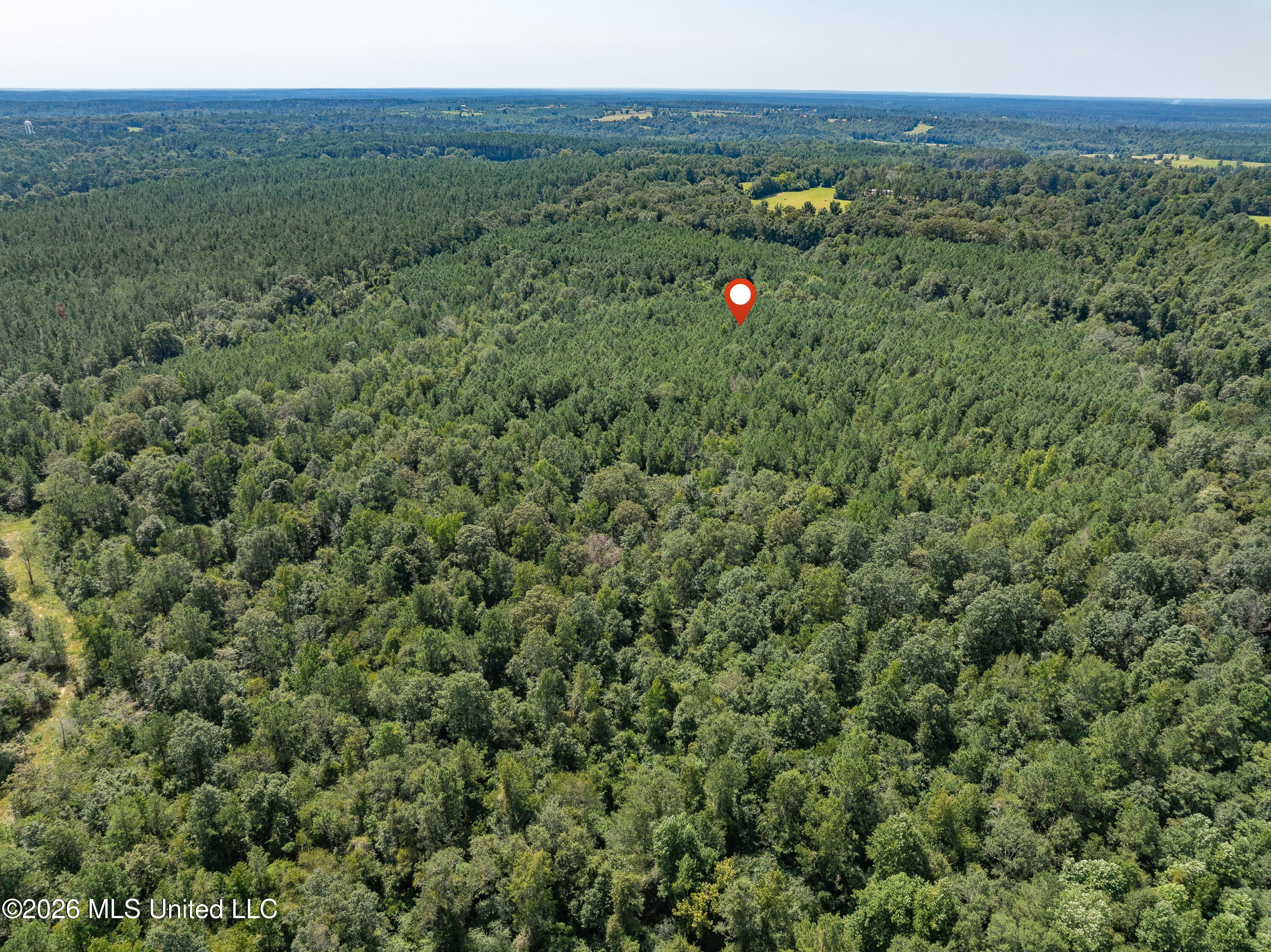 40 Acres Hwy 588 Property Photo 11