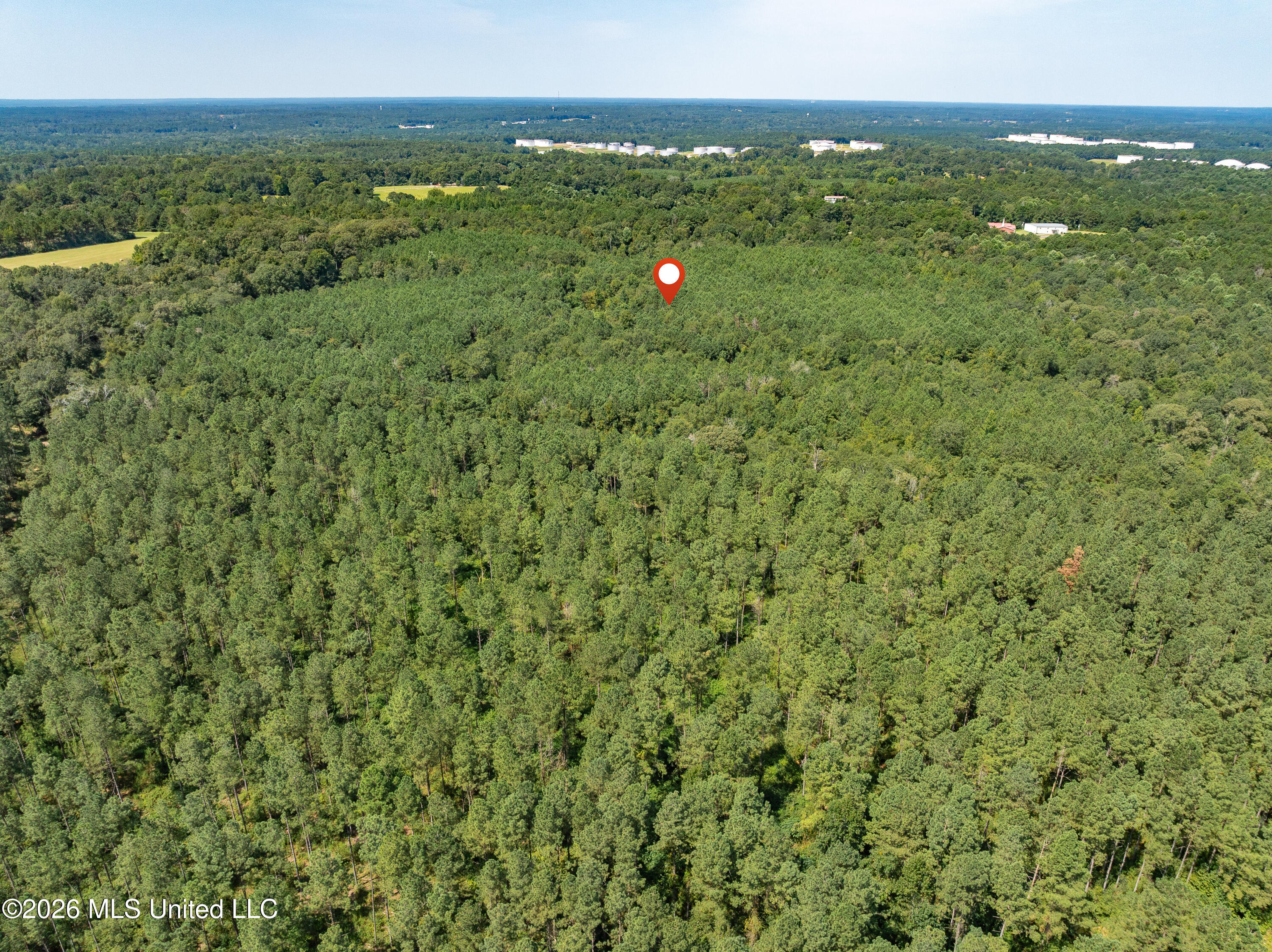 40 Acres Hwy 588 Property Photo 12