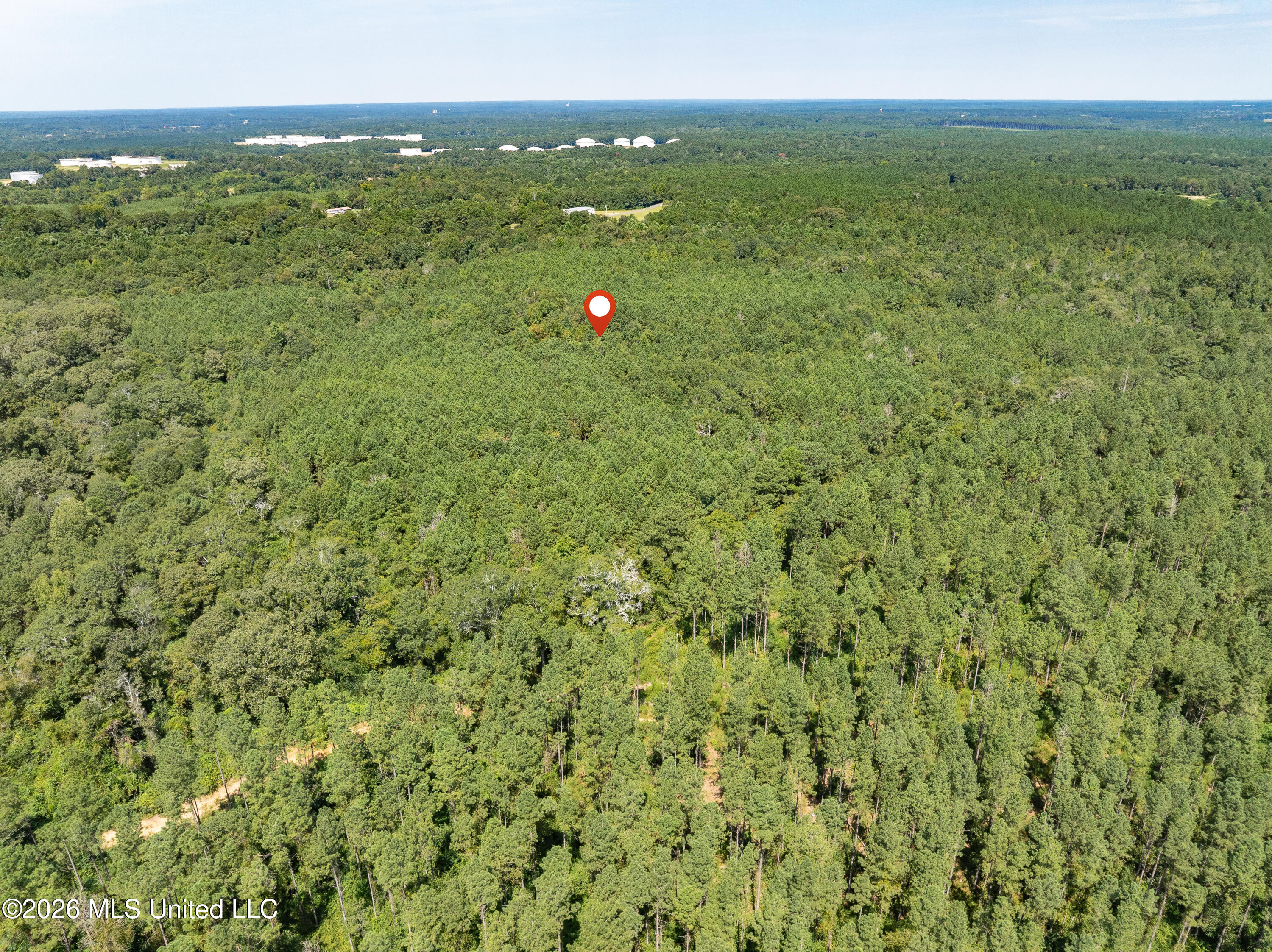 40 Acres Hwy 588 Property Photo 13