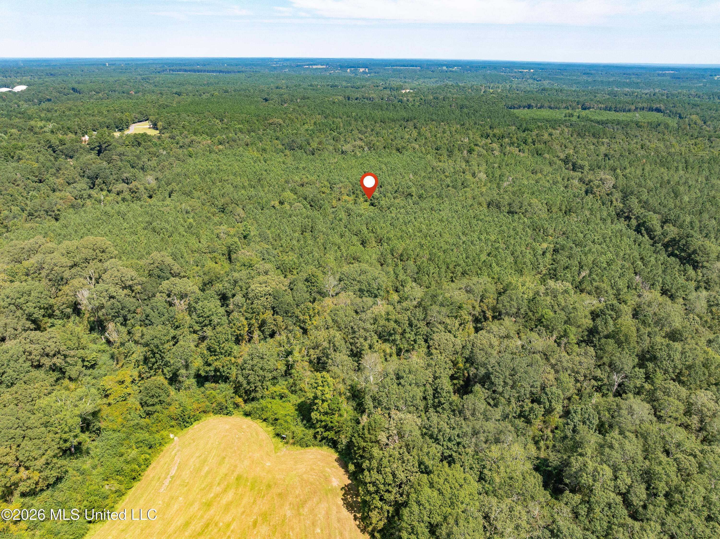 40 Acres Hwy 588 Property Photo 15