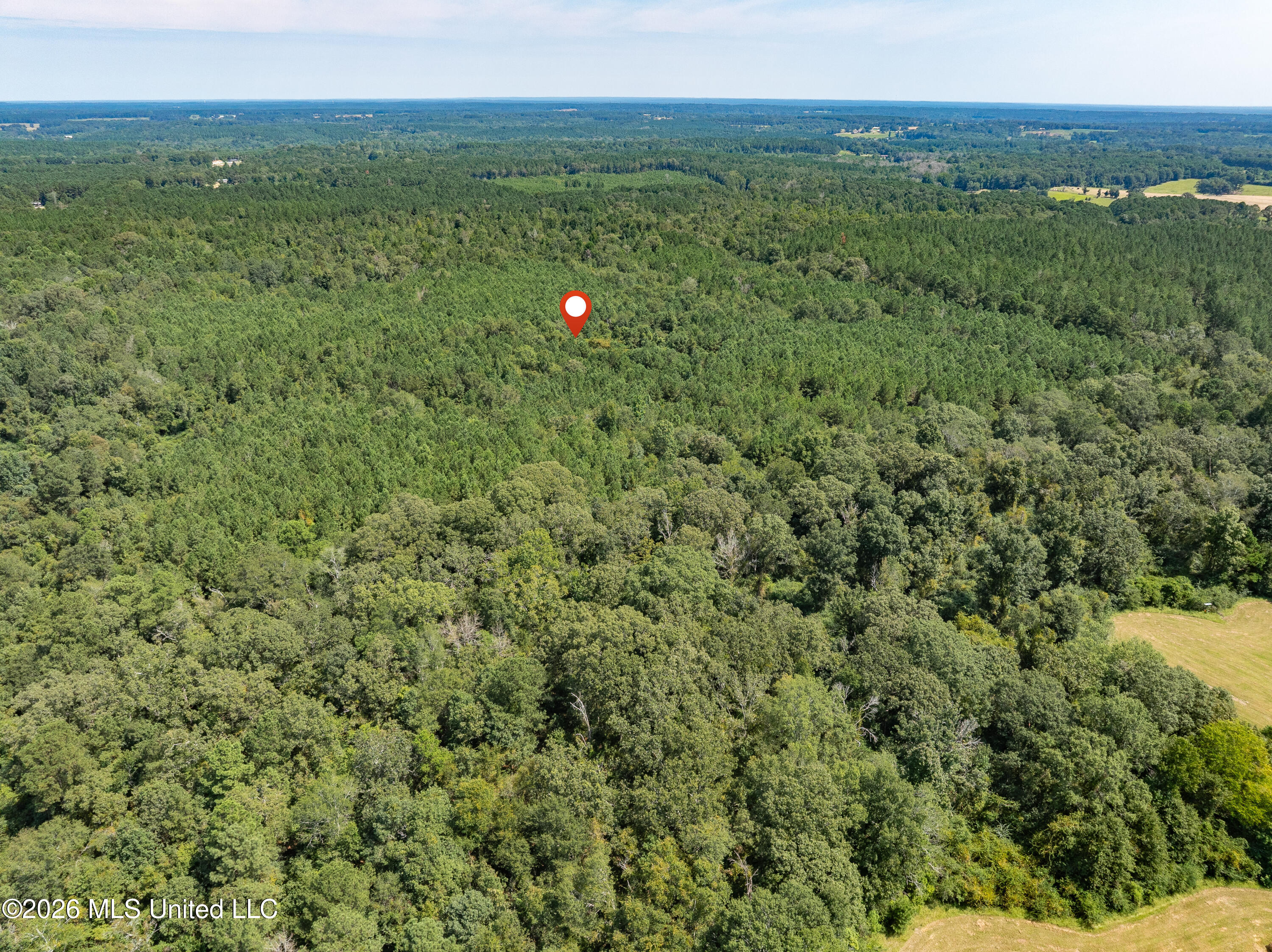 40 Acres Hwy 588 Property Photo 16