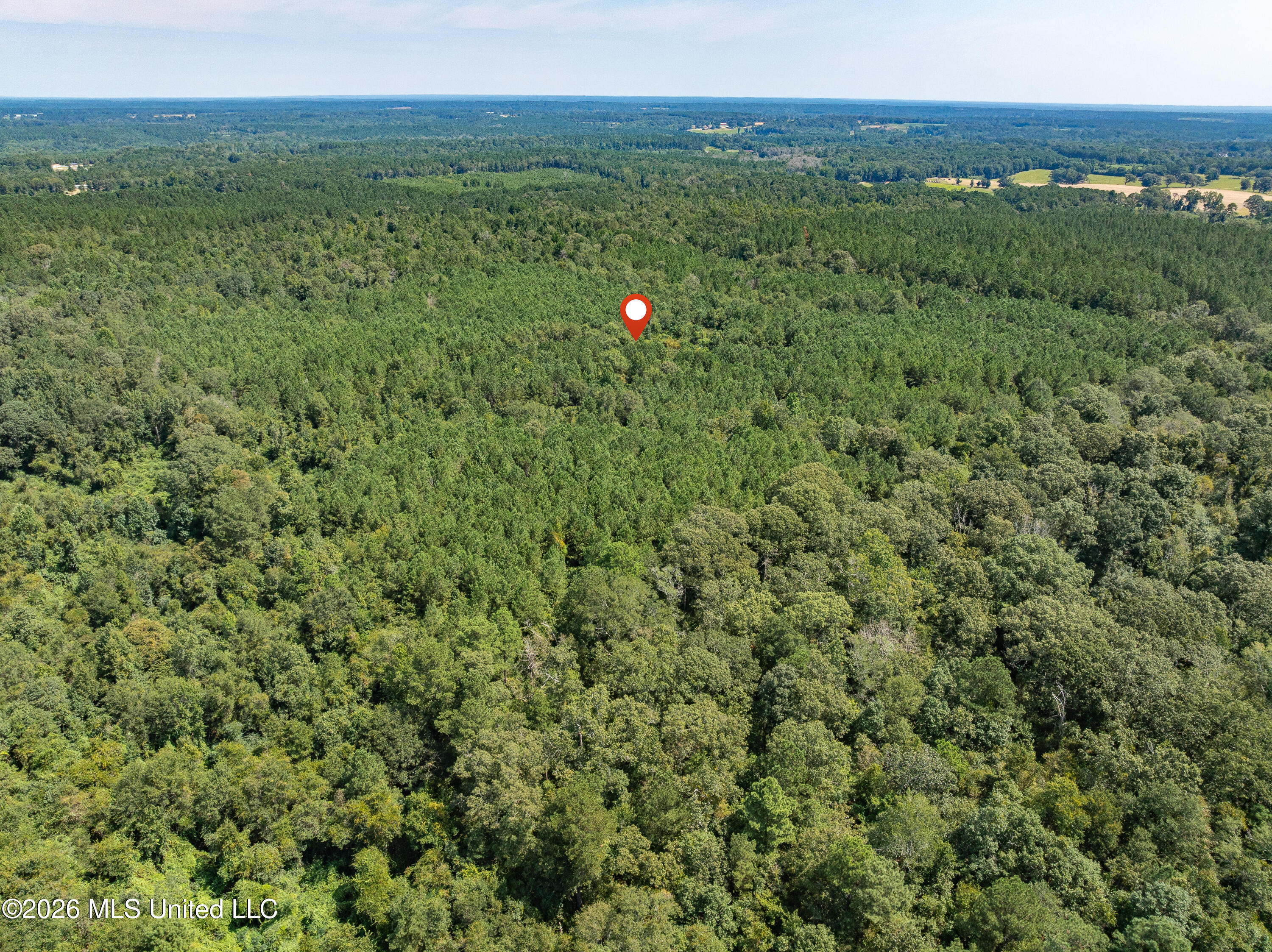 40 Acres Hwy 588 Property Photo 17