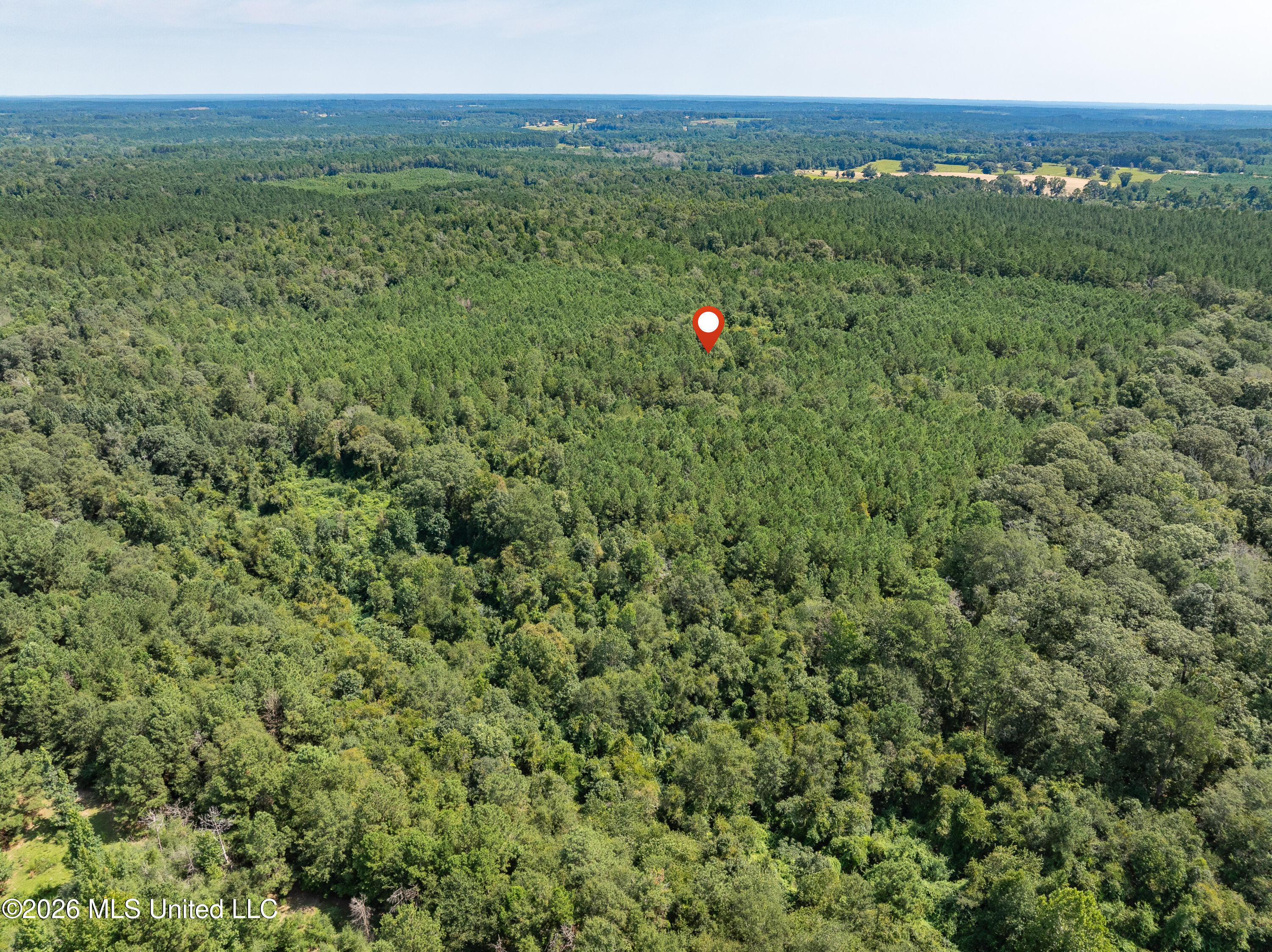 40 Acres Hwy 588 Property Photo 18