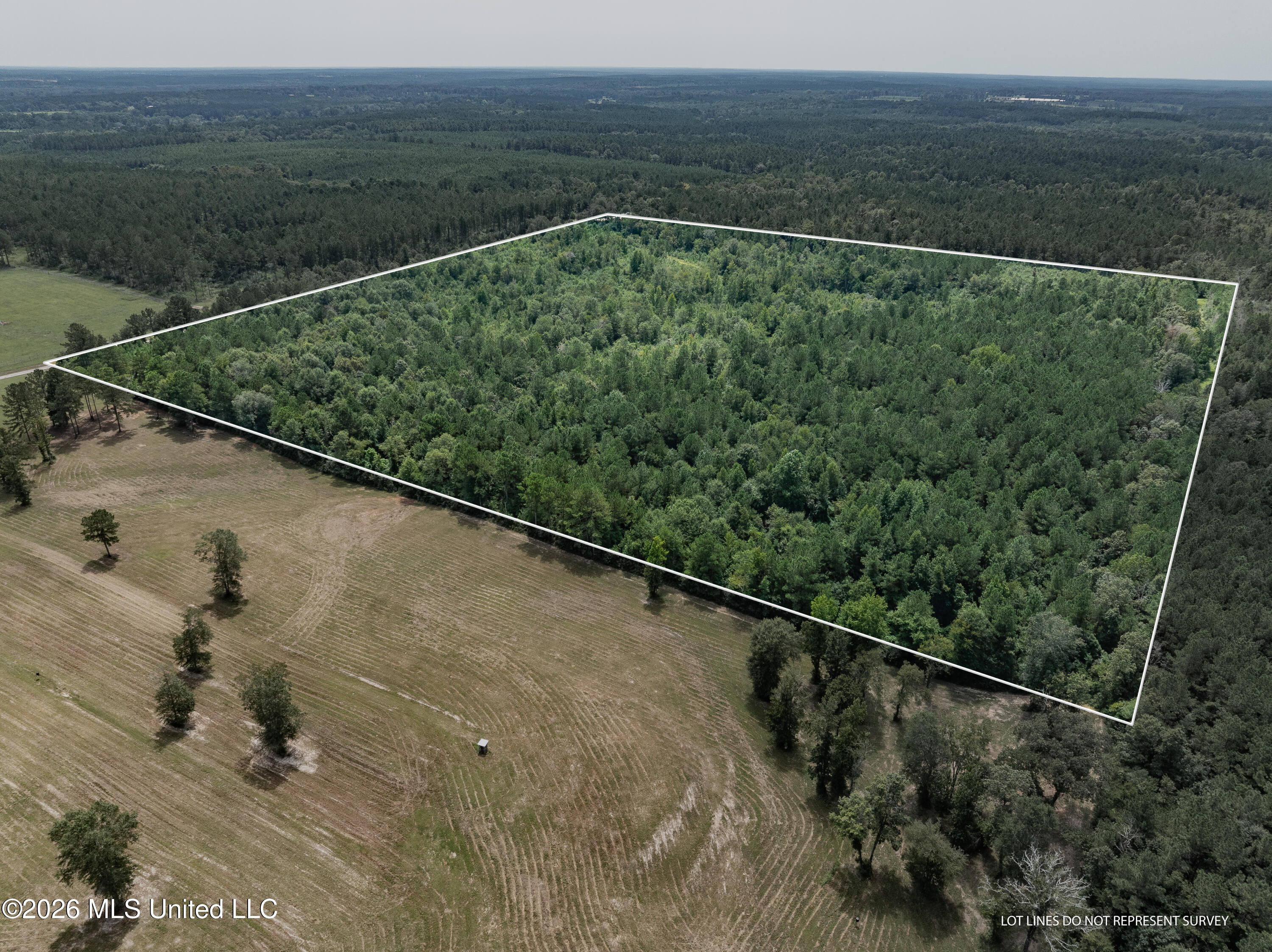 40 Acres Son's Lane Property Photo 2