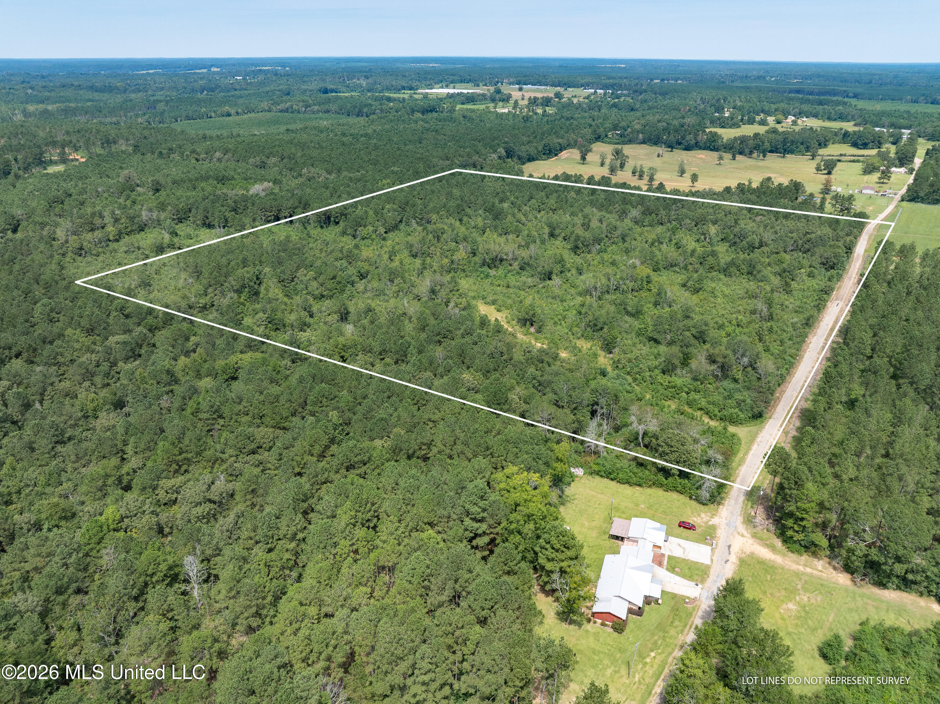 40 Acres Son's Lane Property Photo 3