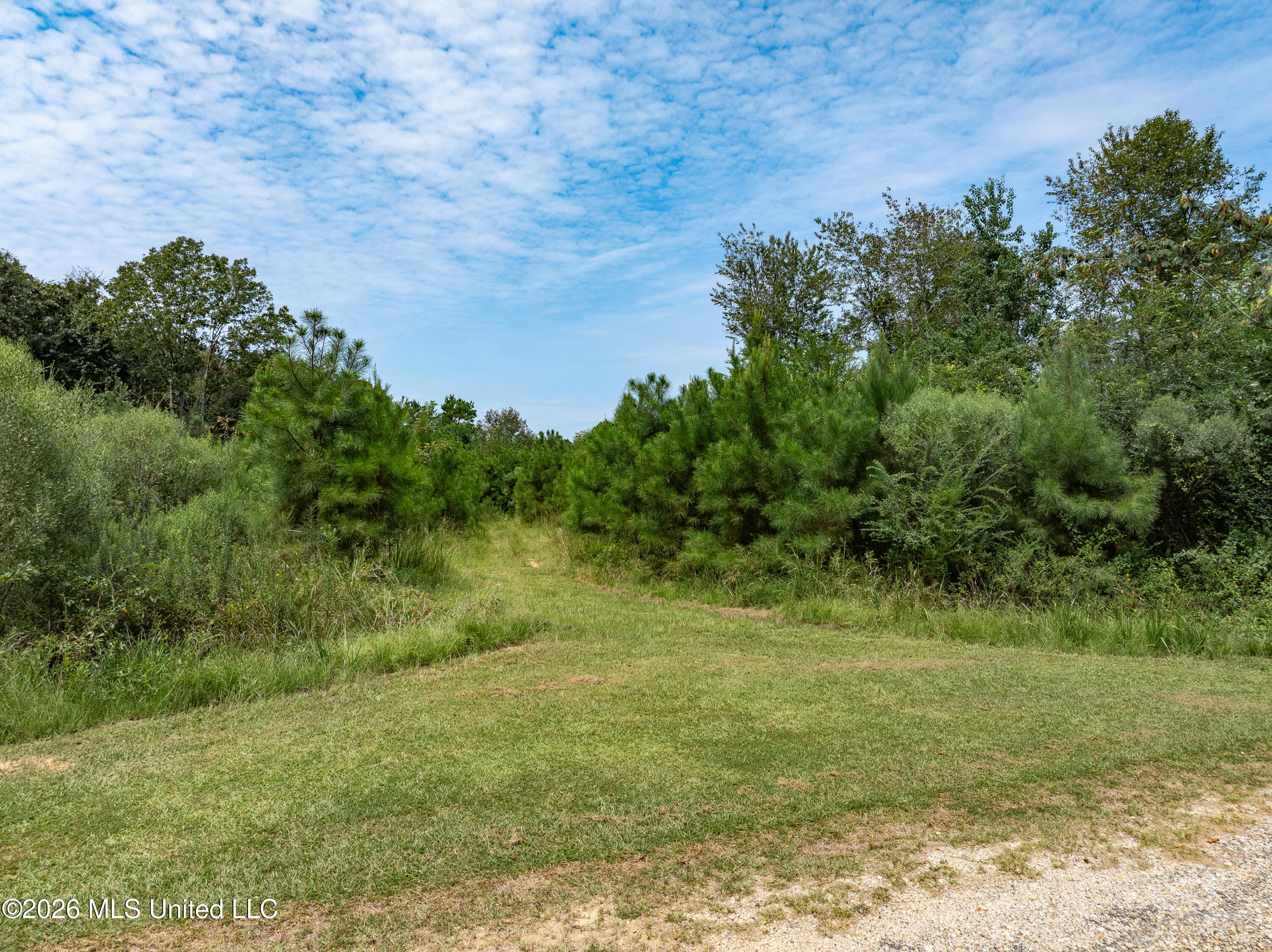 40 Acres Son's Lane Property Photo 6