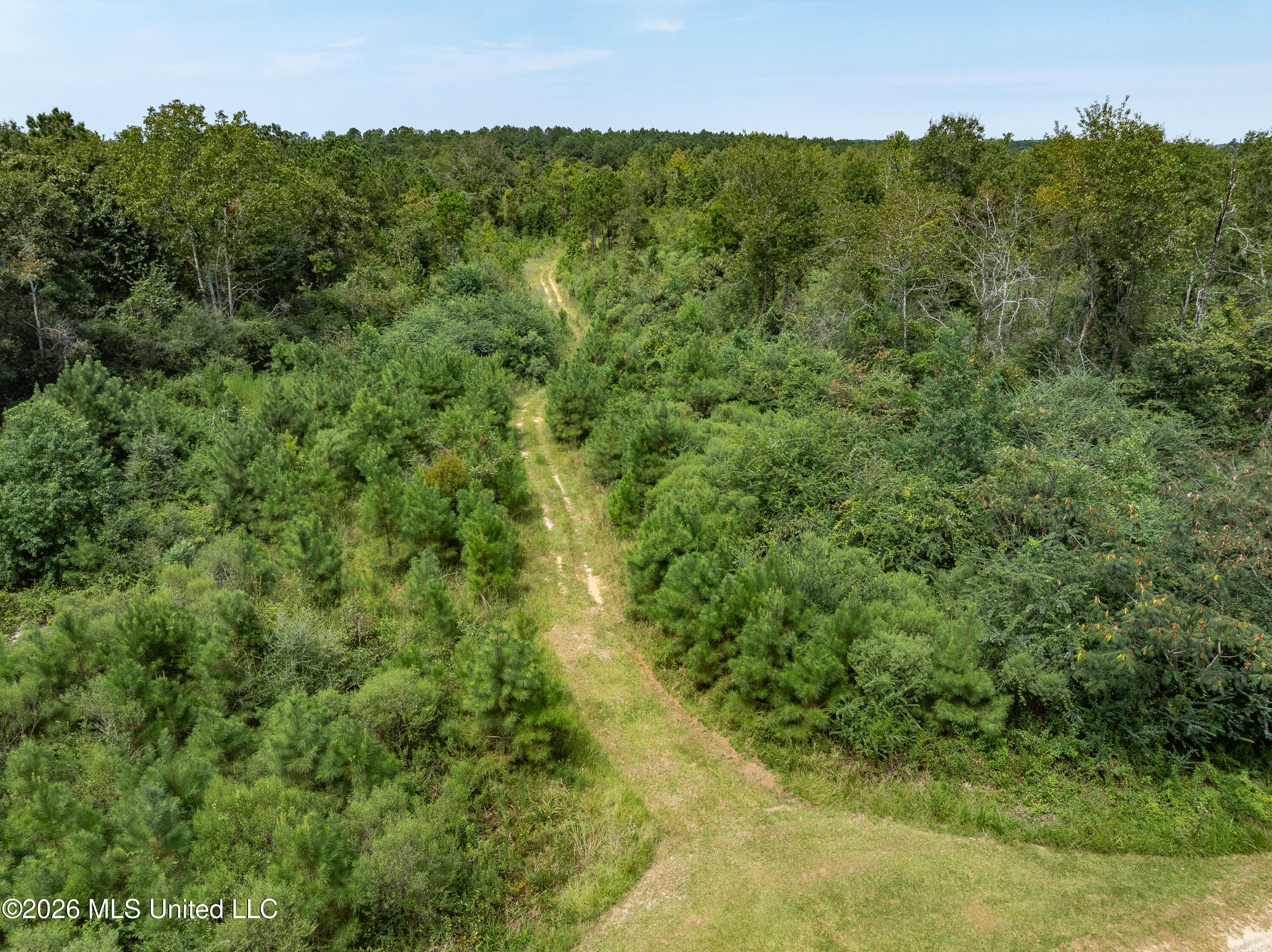 40 Acres Son's Lane Property Photo 7
