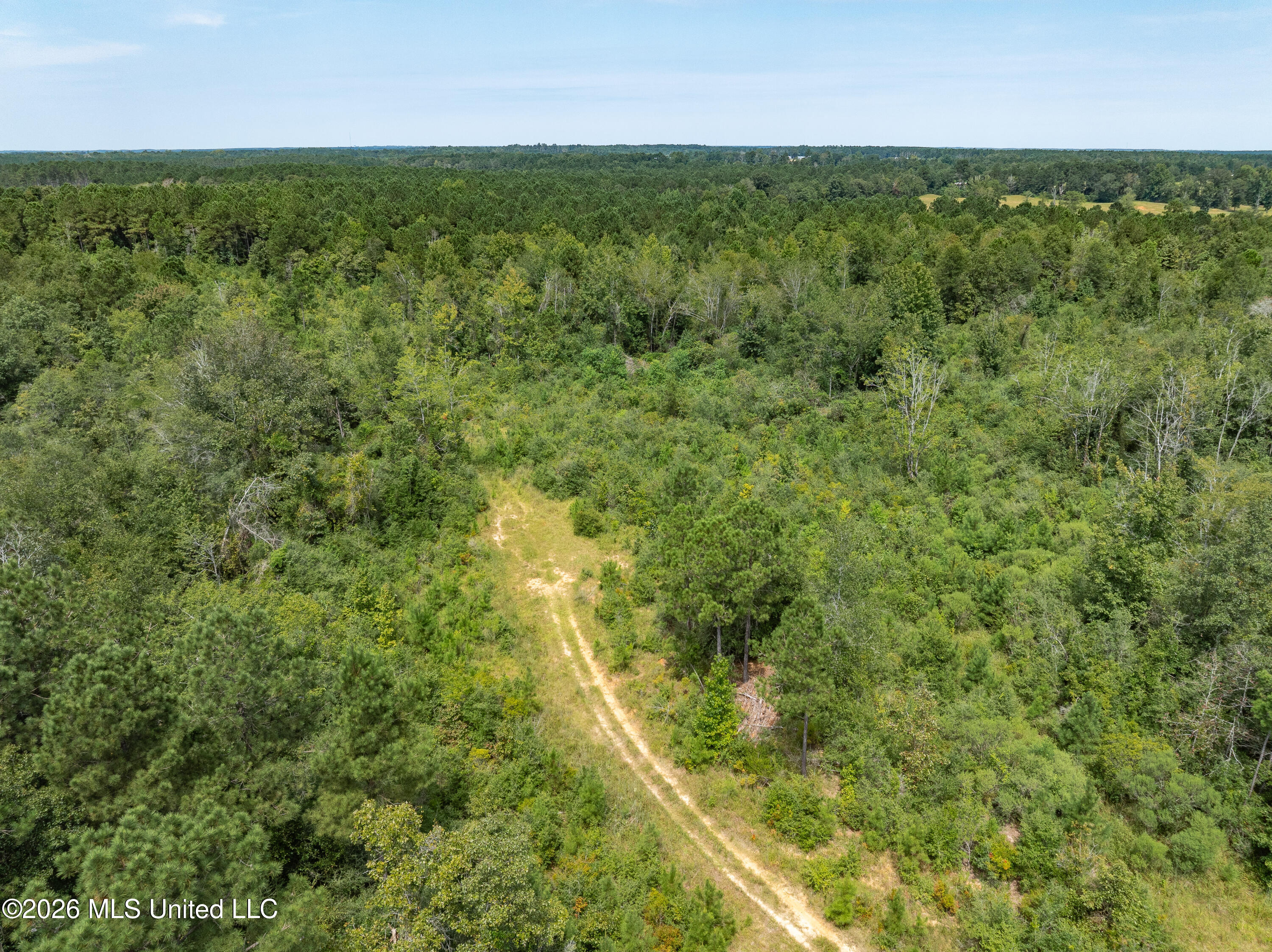 40 Acres Son's Lane Property Photo 8
