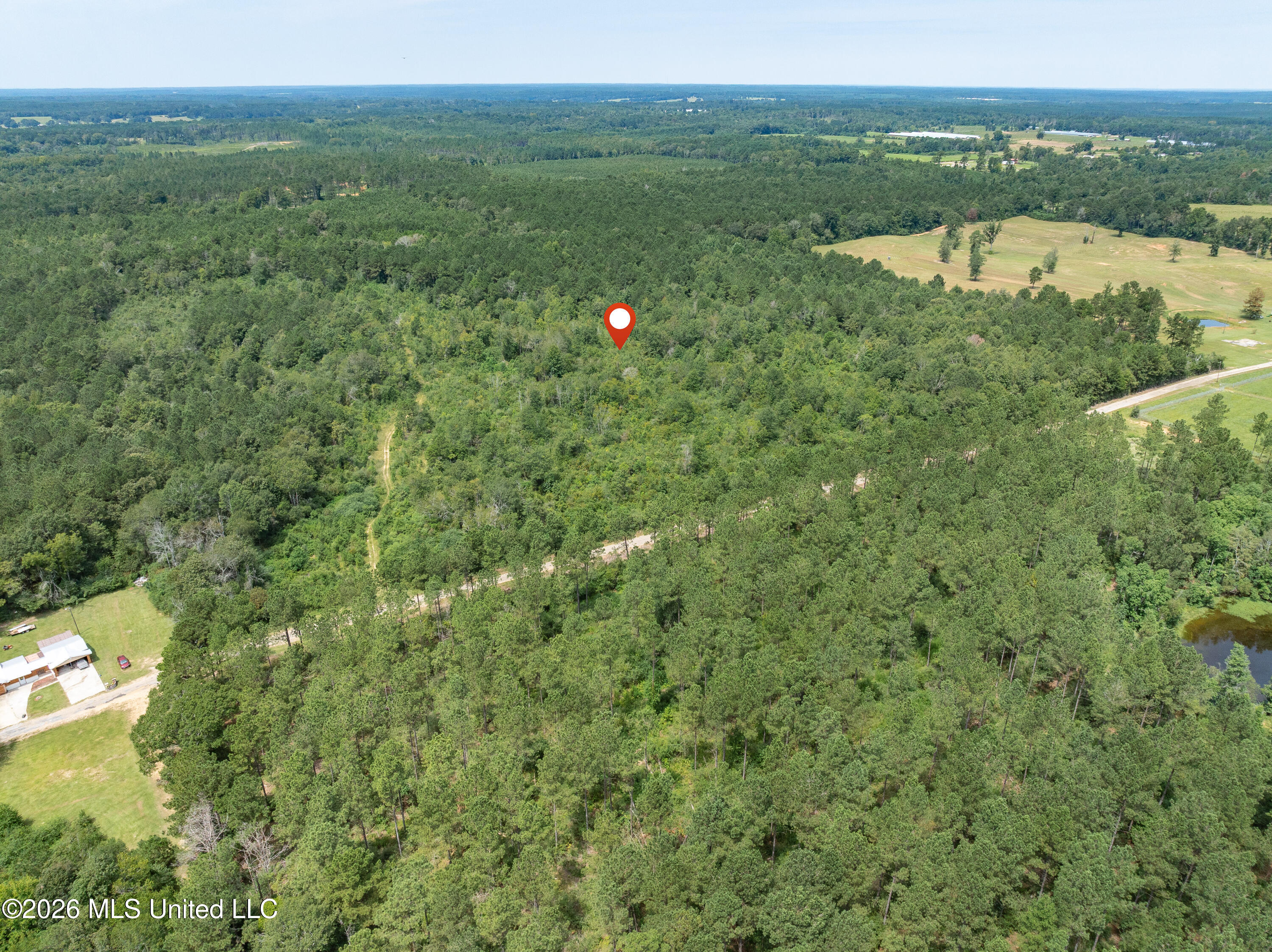 40 Acres Son's Lane Property Photo 14