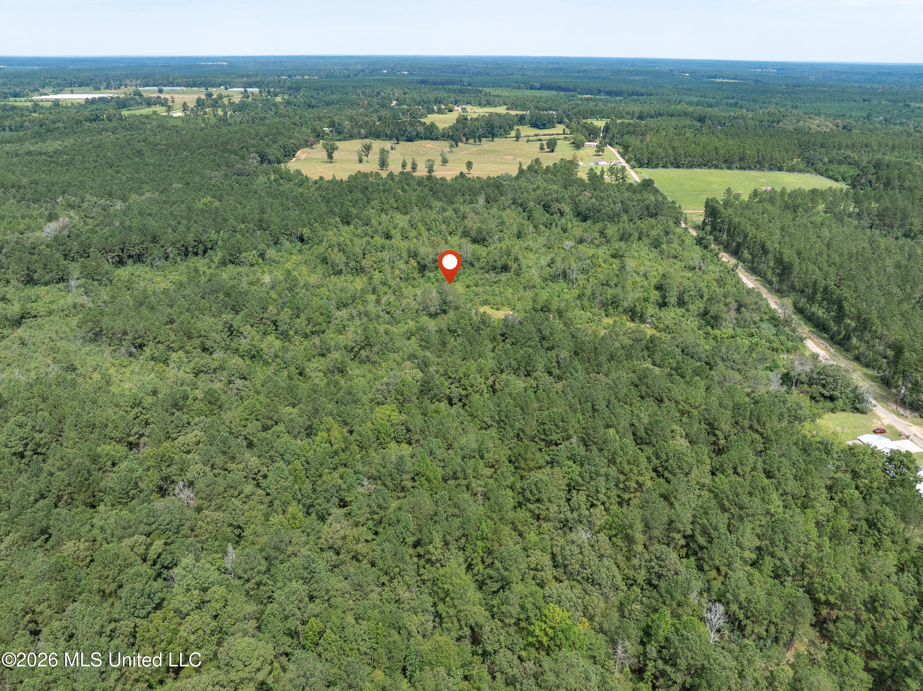 40 Acres Son's Lane Property Photo 15