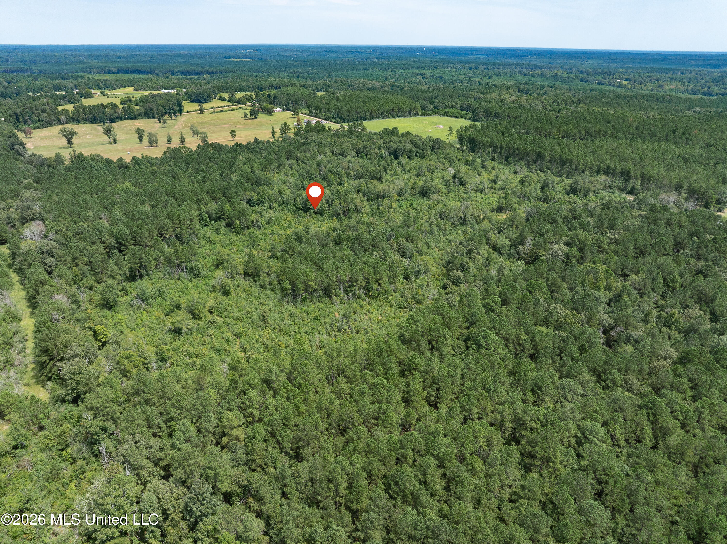 40 Acres Son's Lane Property Photo 16
