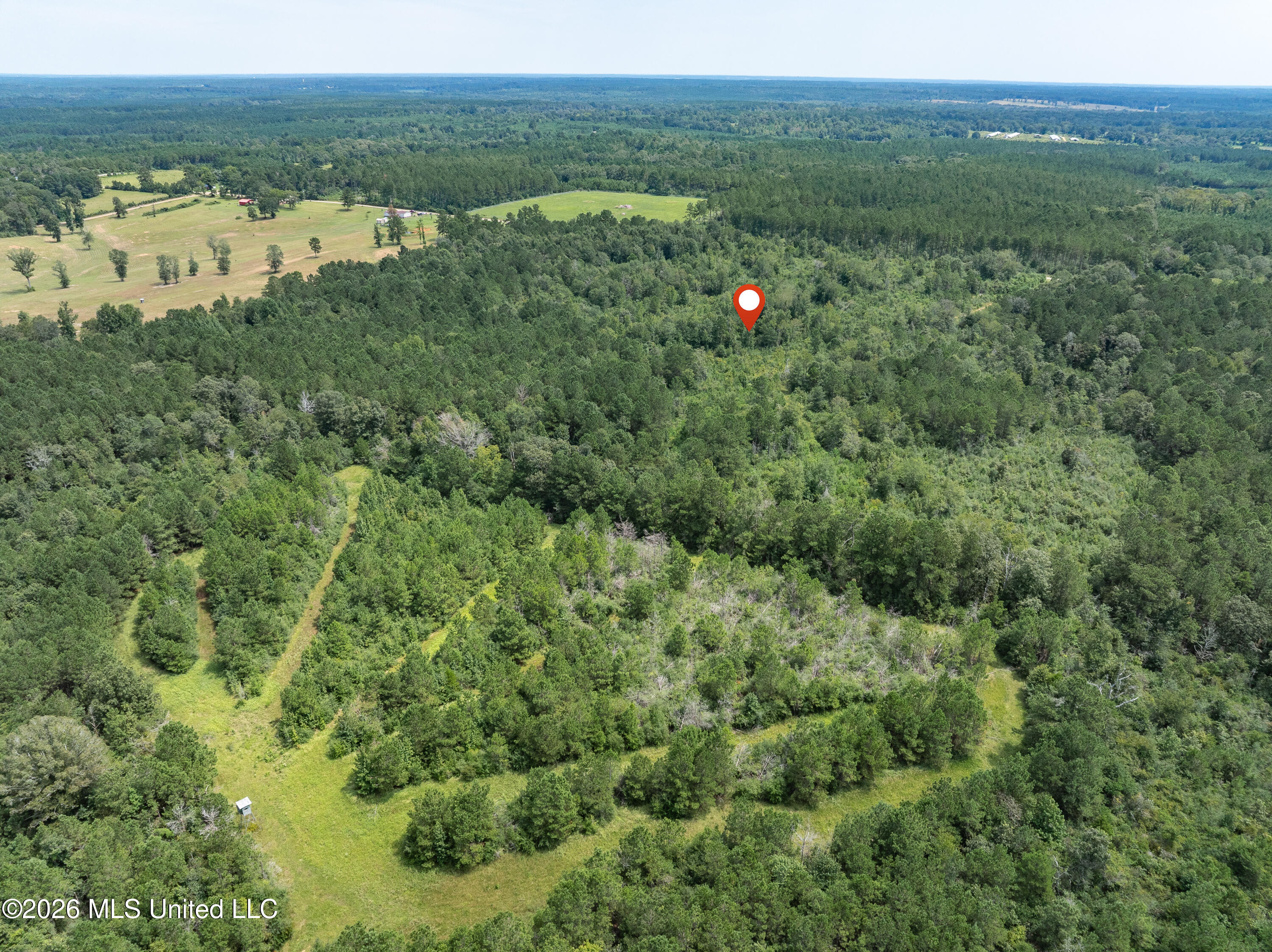 40 Acres Son's Lane Property Photo 17