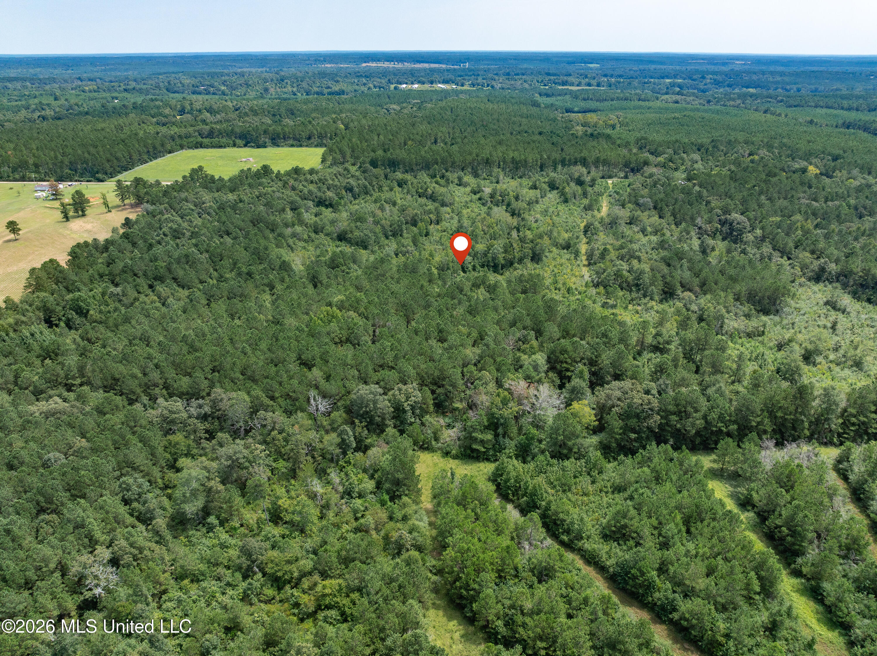 40 Acres Son's Lane Property Photo 18