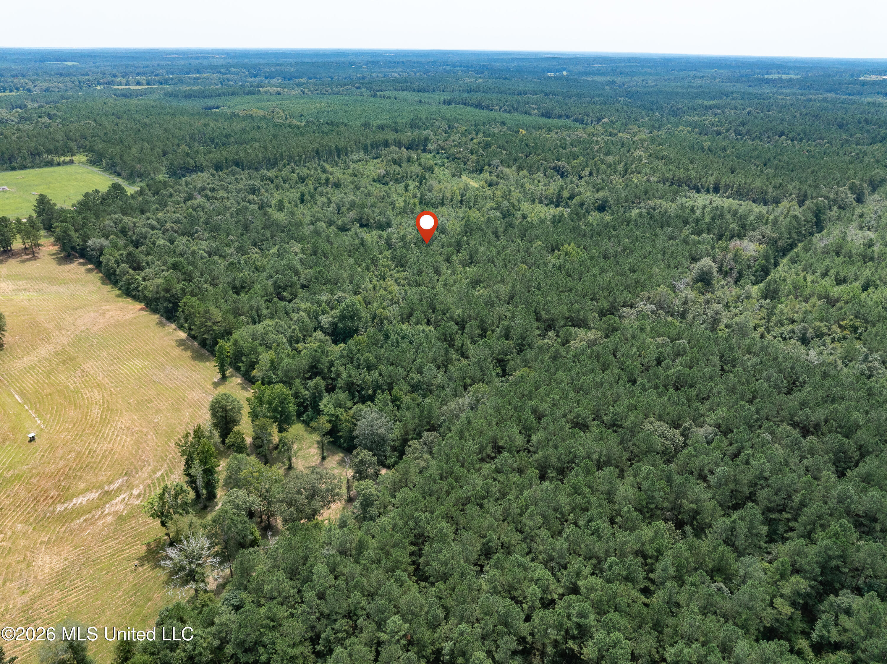 40 Acres Son's Lane Property Photo 19