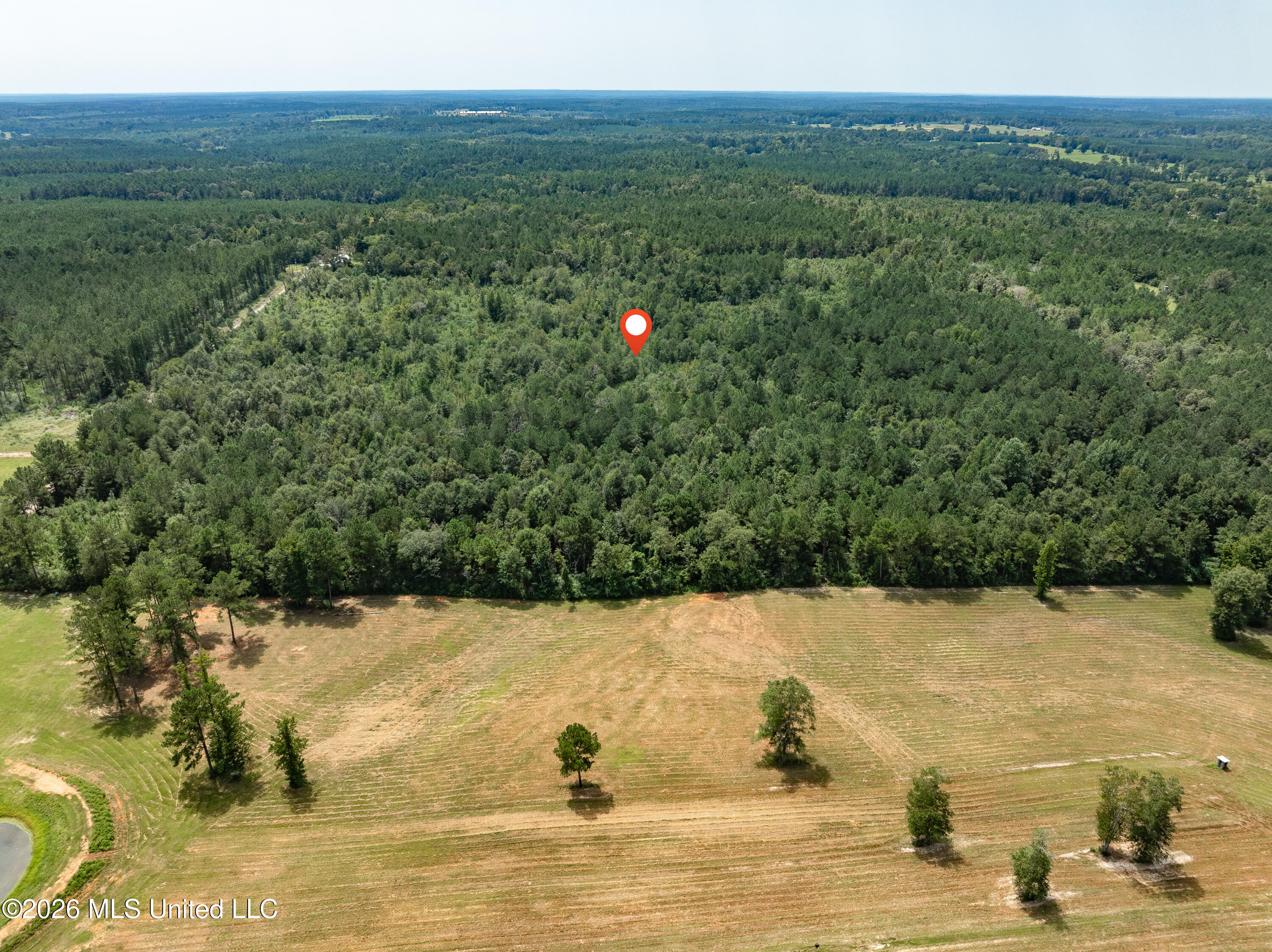 40 Acres Son's Lane Property Photo 20