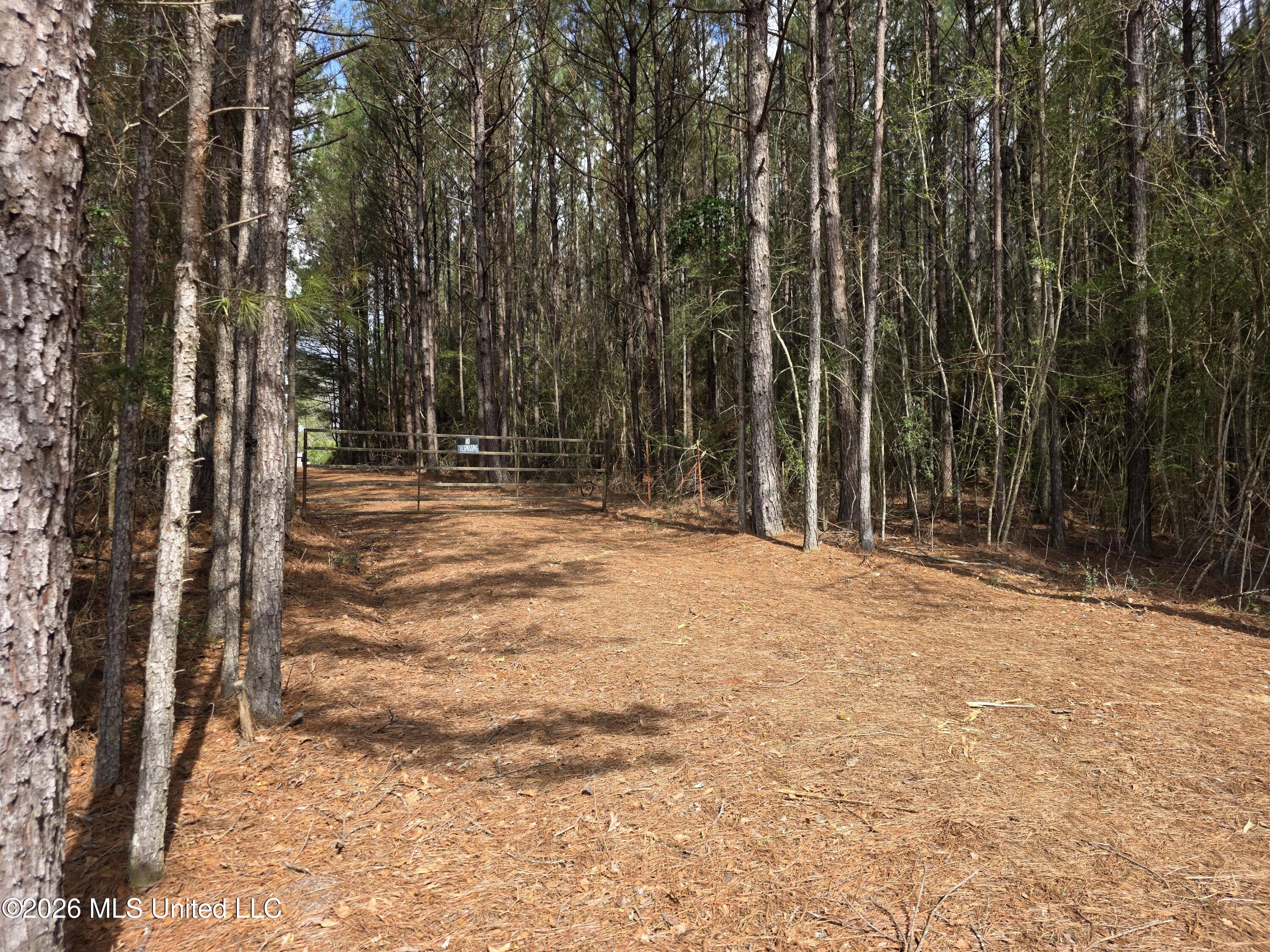 Conerly Drive Property Photo 3
