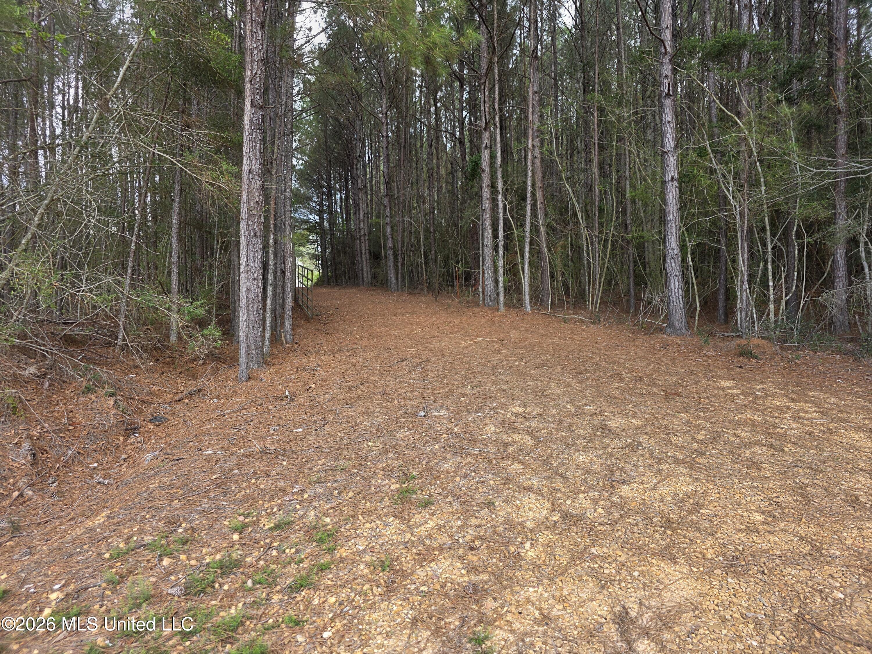 Conerly Drive Property Photo 4