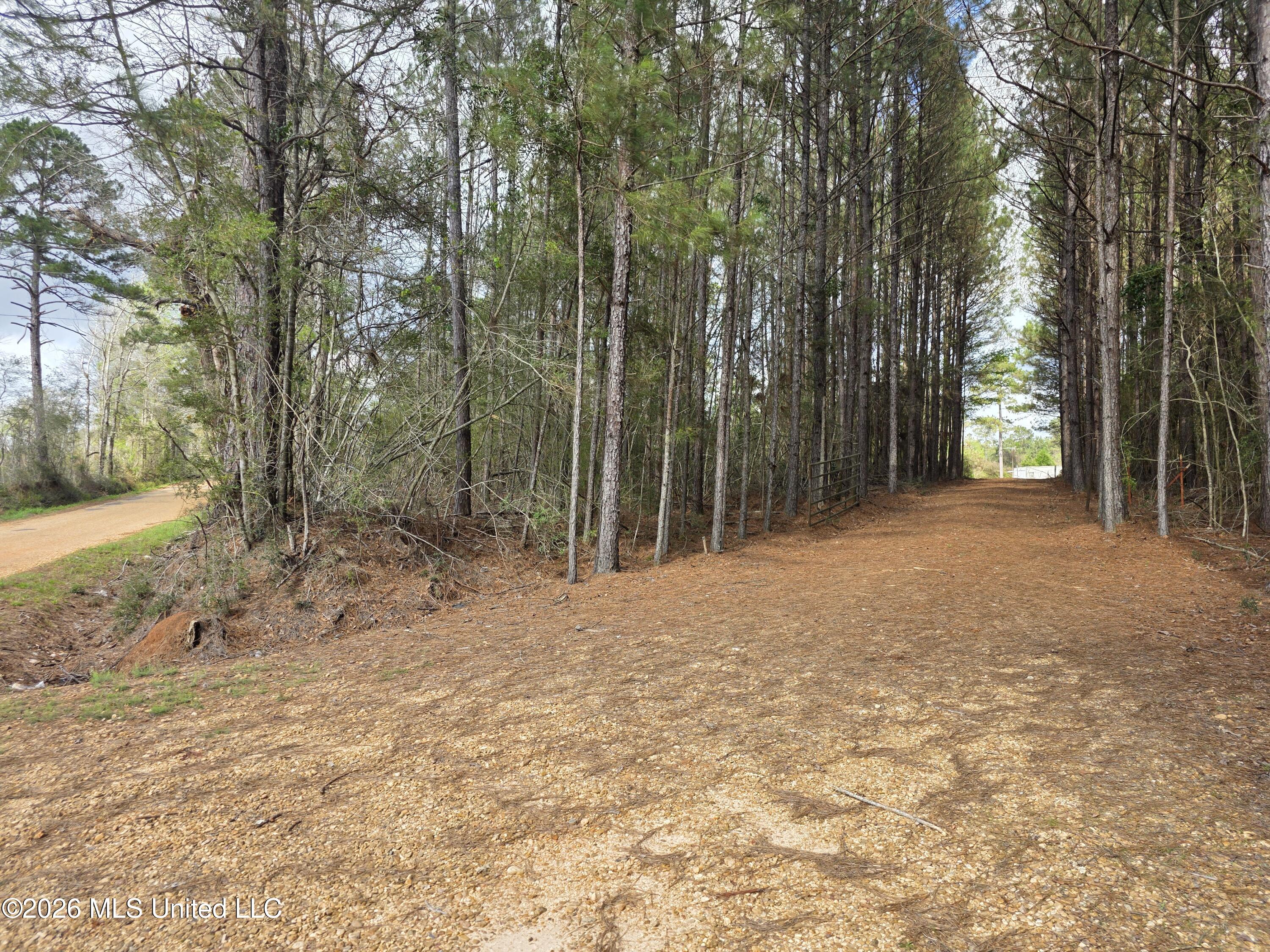 Conerly Drive Property Photo 5