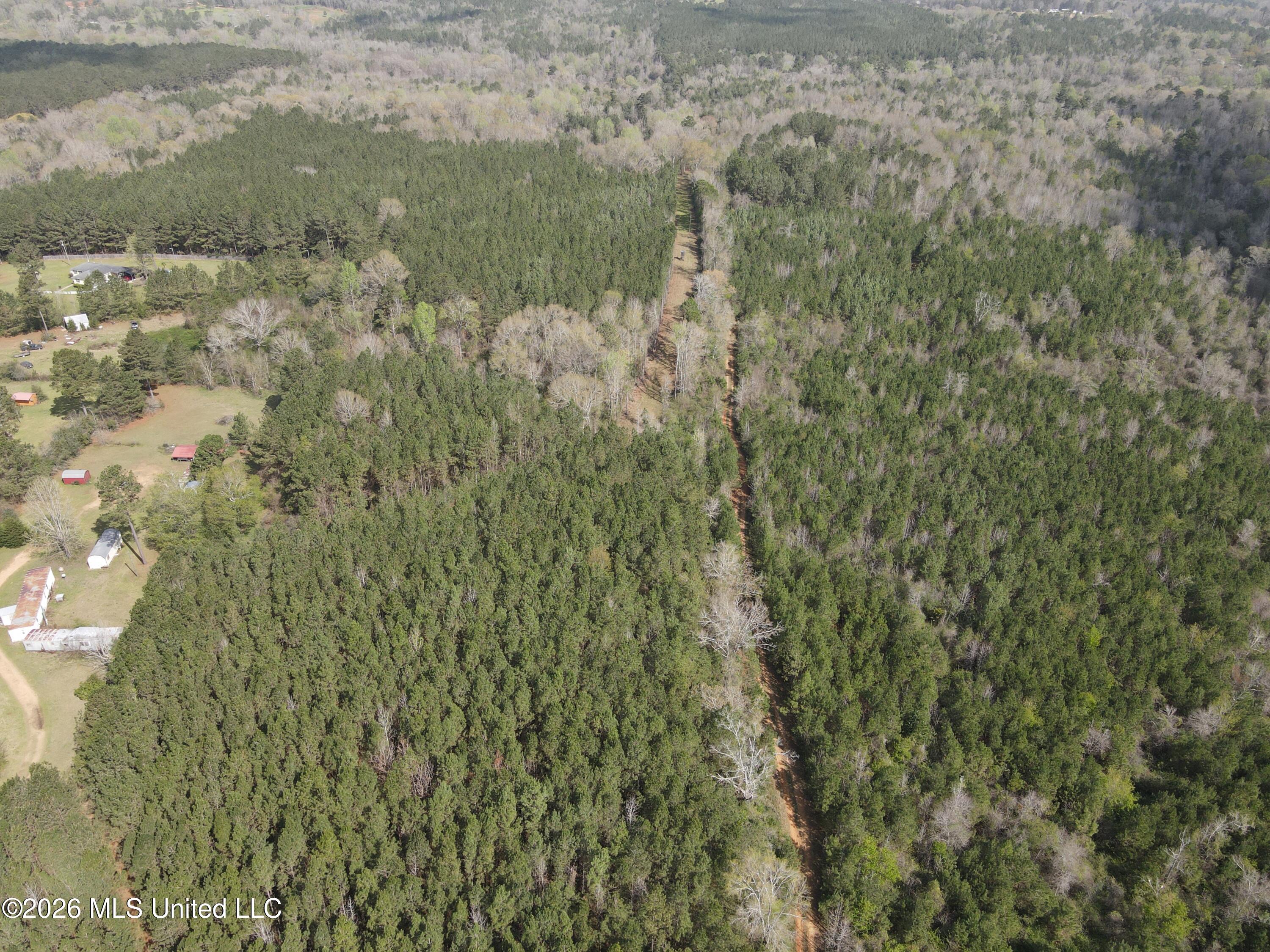 Conerly Drive Property Photo 7