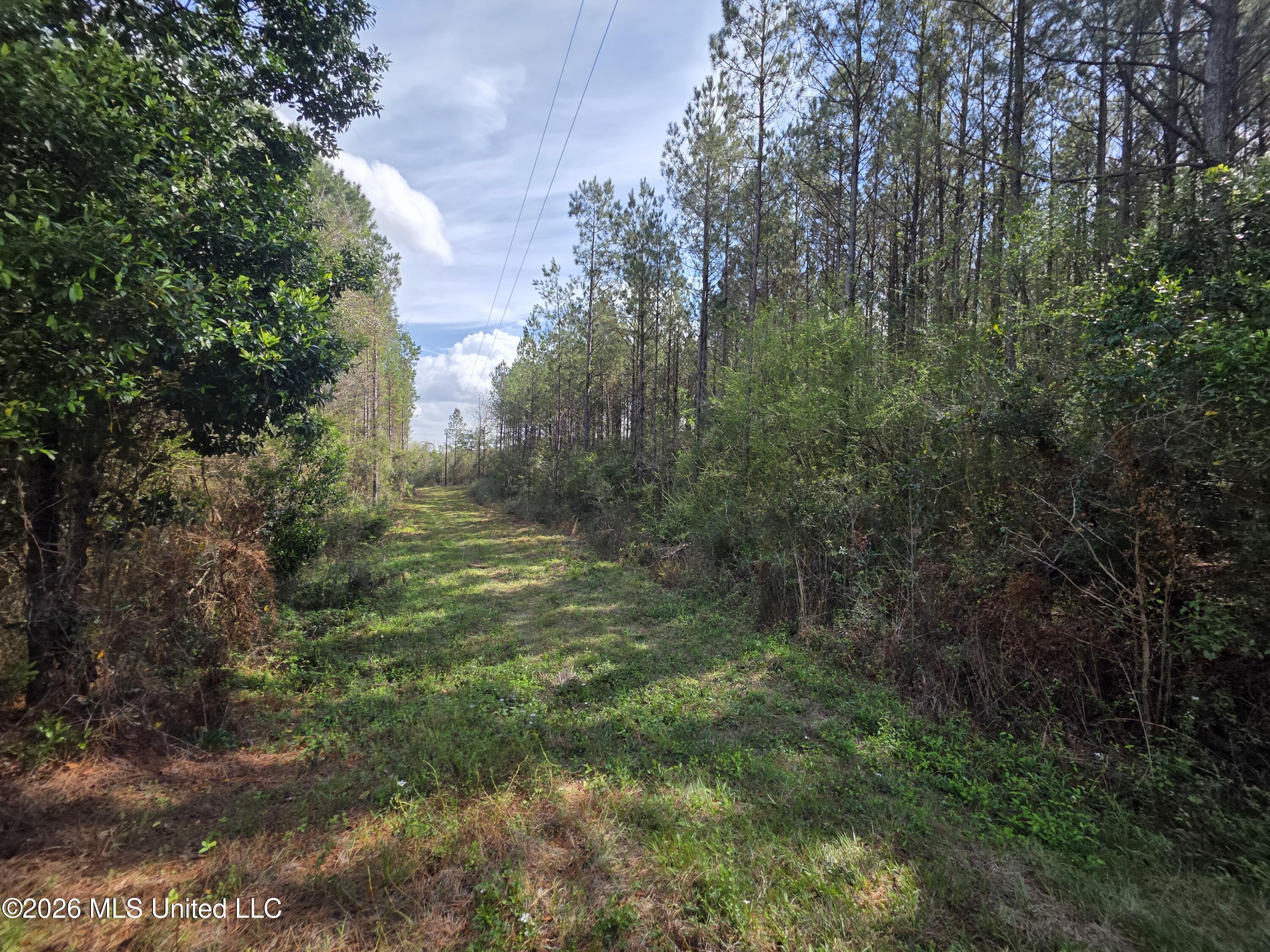 Conerly Drive Property Photo 10