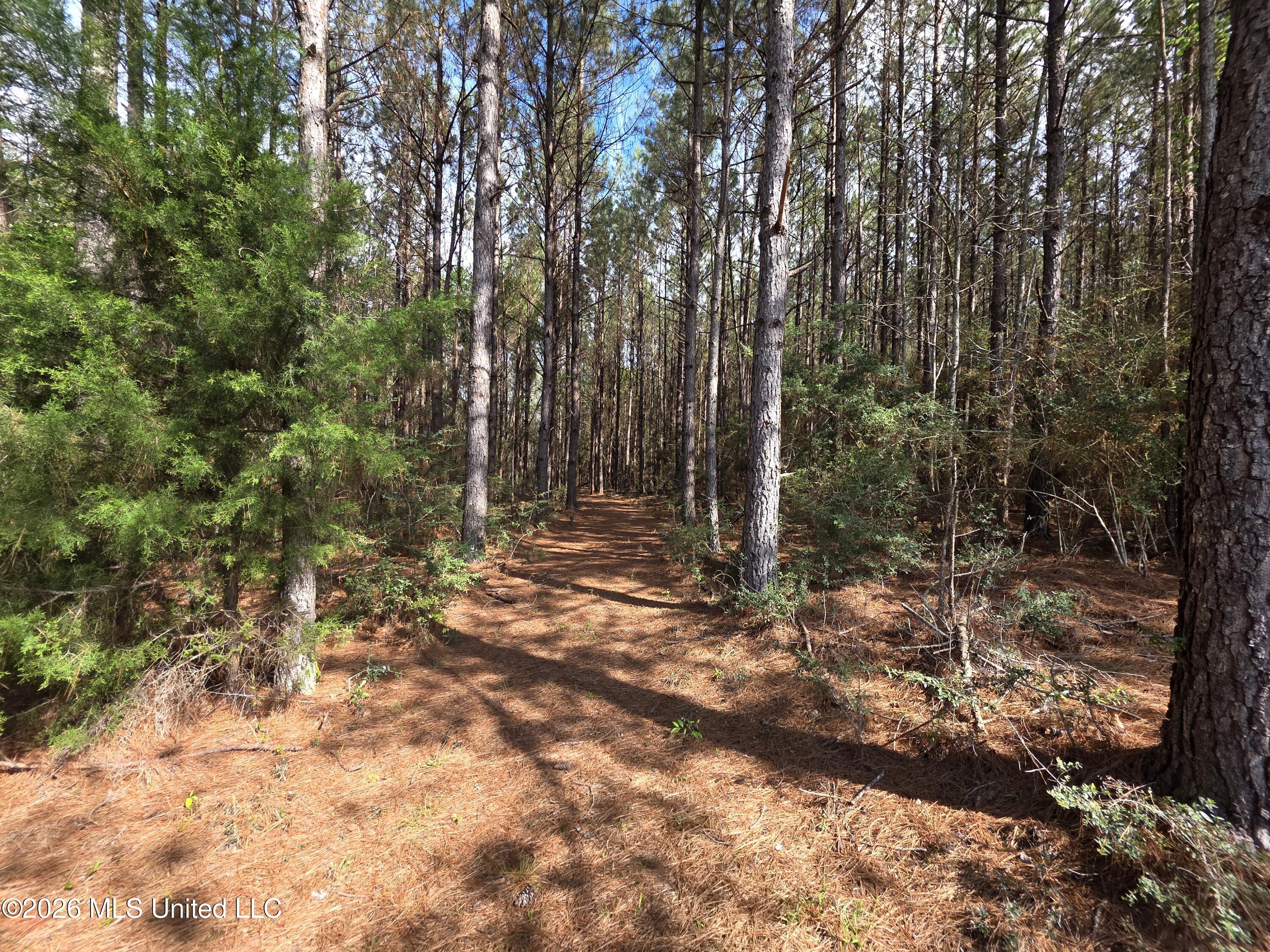 Conerly Drive Property Photo 12