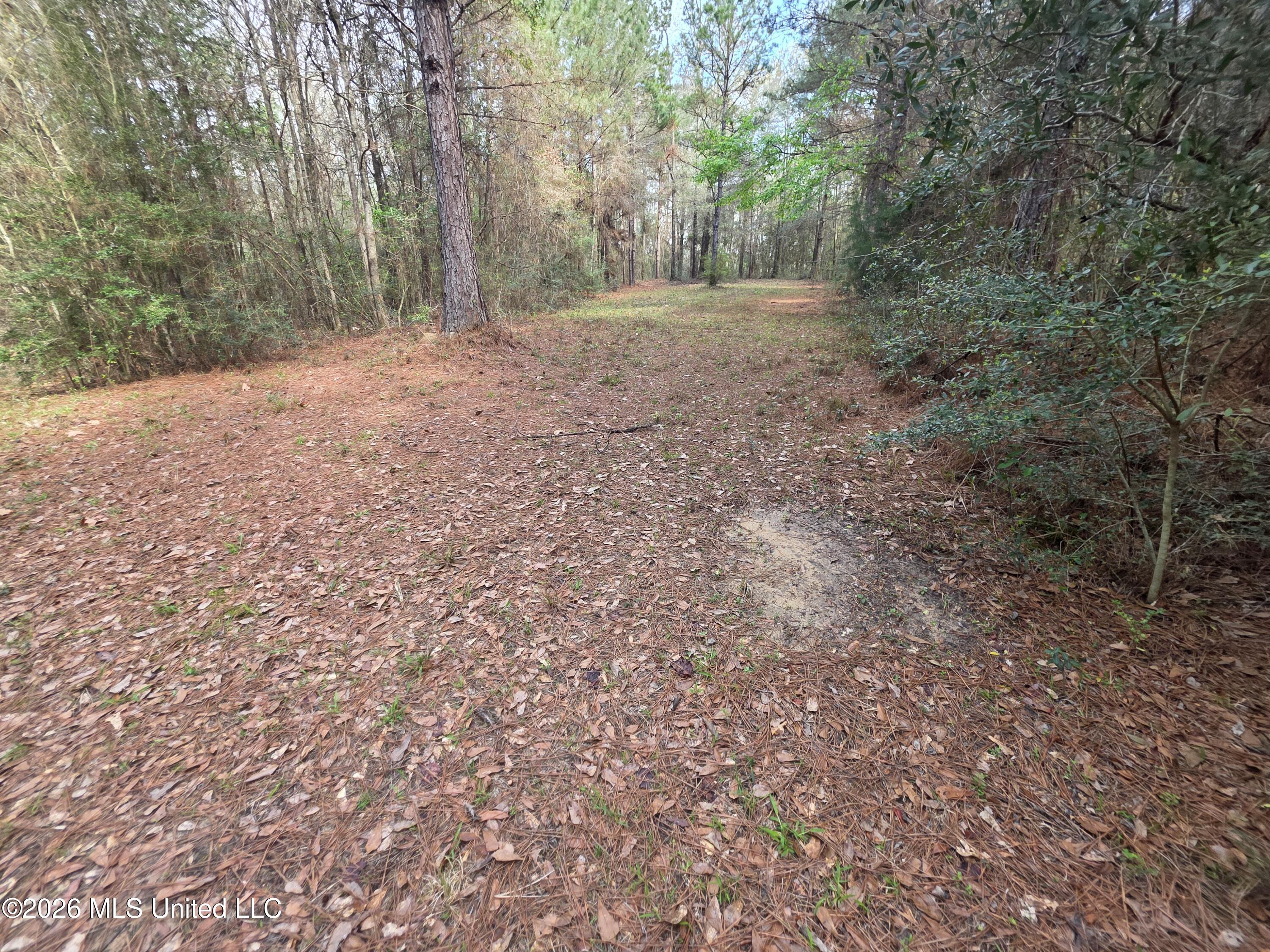 Conerly Drive Property Photo 13
