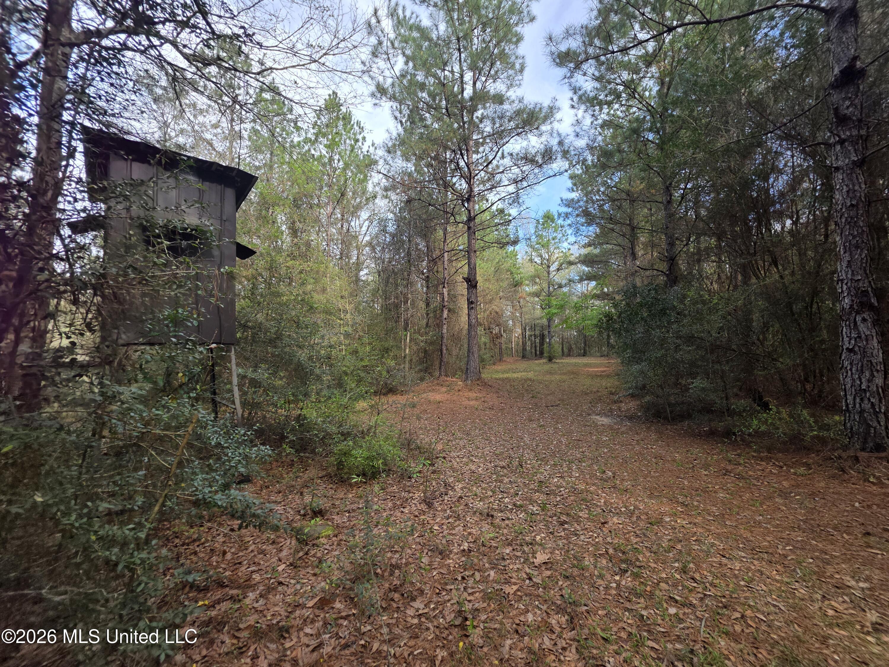 Conerly Drive Property Photo 14