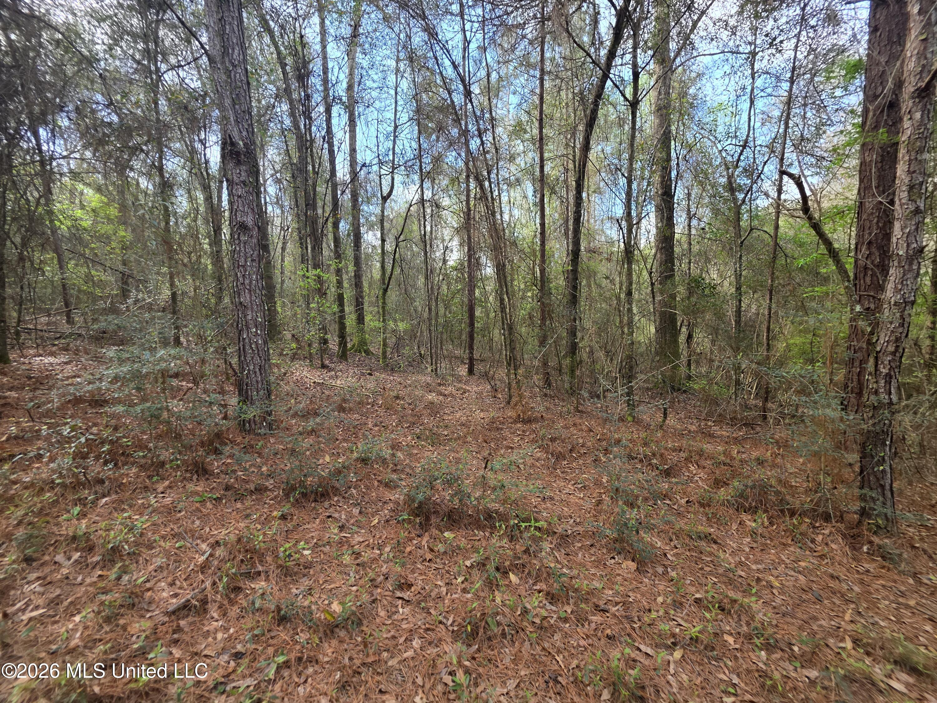 Conerly Drive Property Photo 15