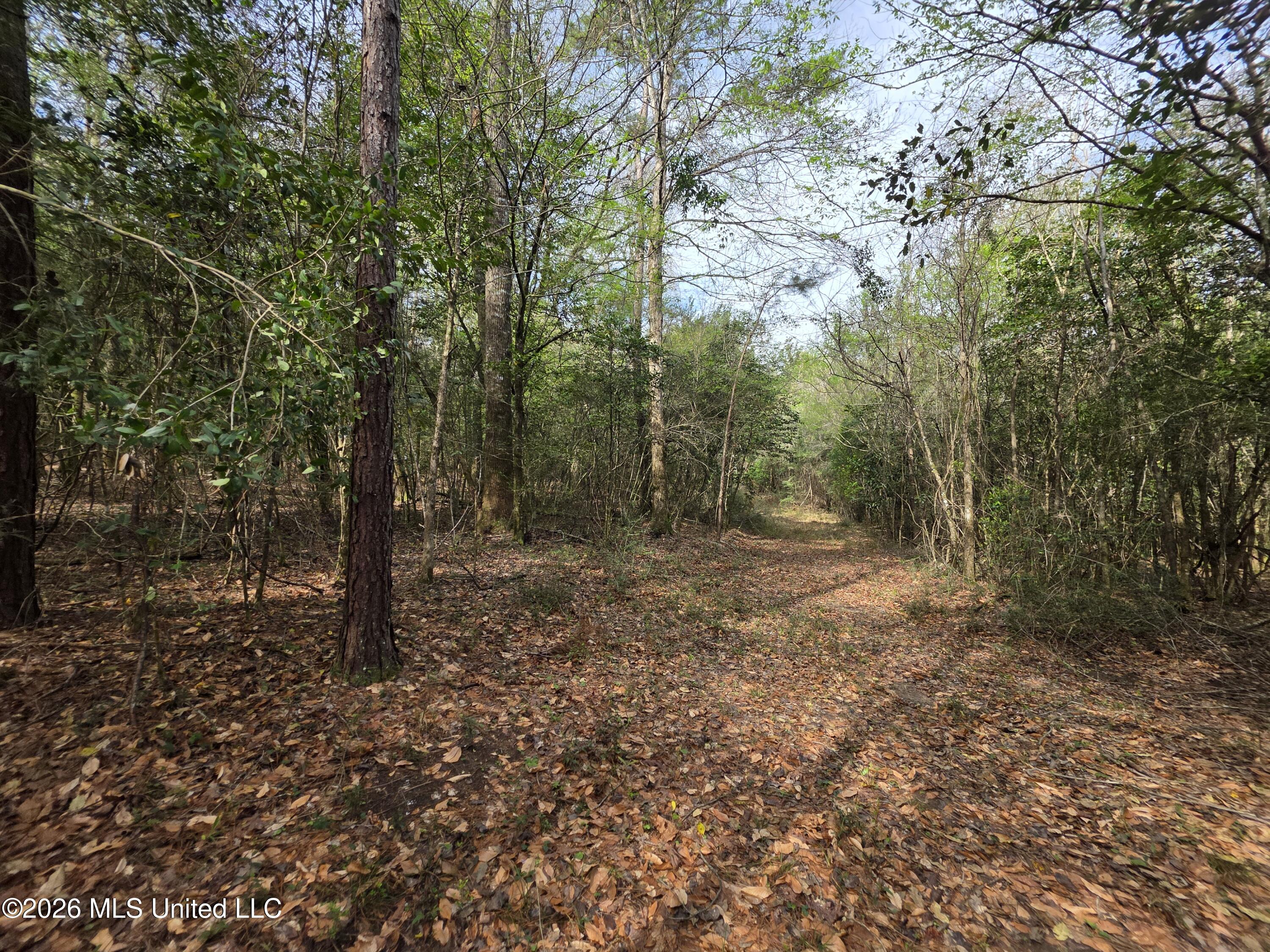Conerly Drive Property Photo 17