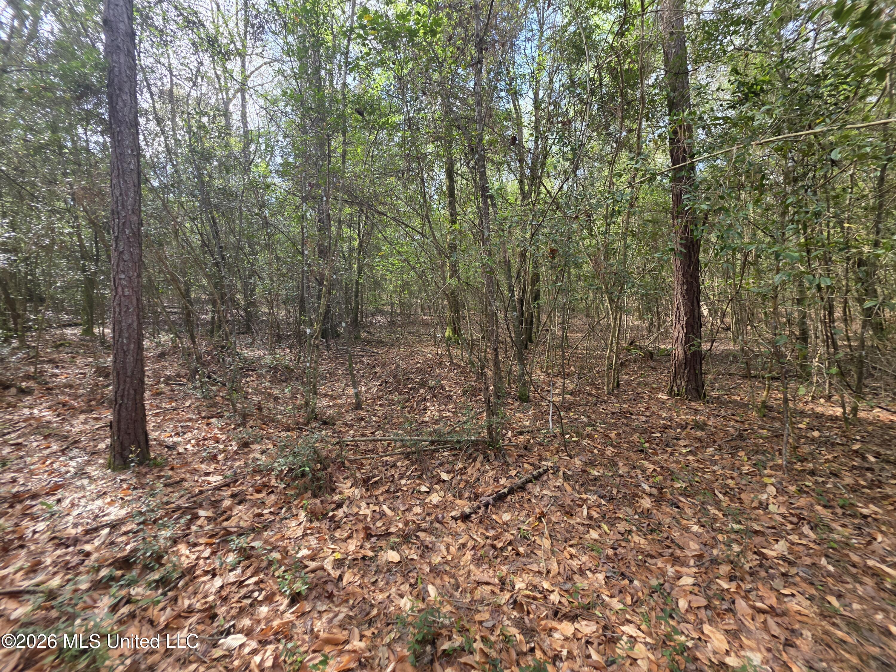 Conerly Drive Property Photo 18