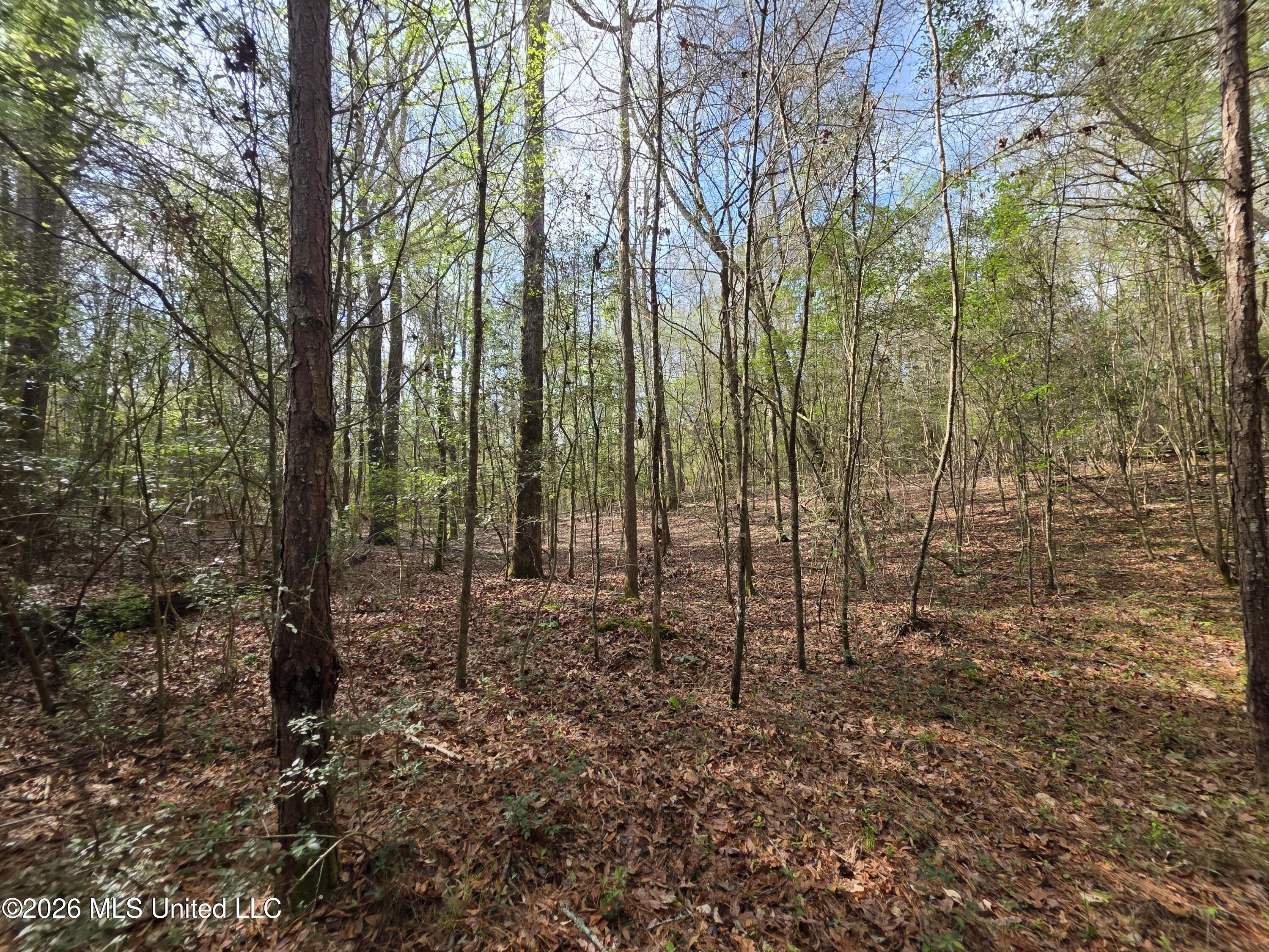 Conerly Drive Property Photo 21