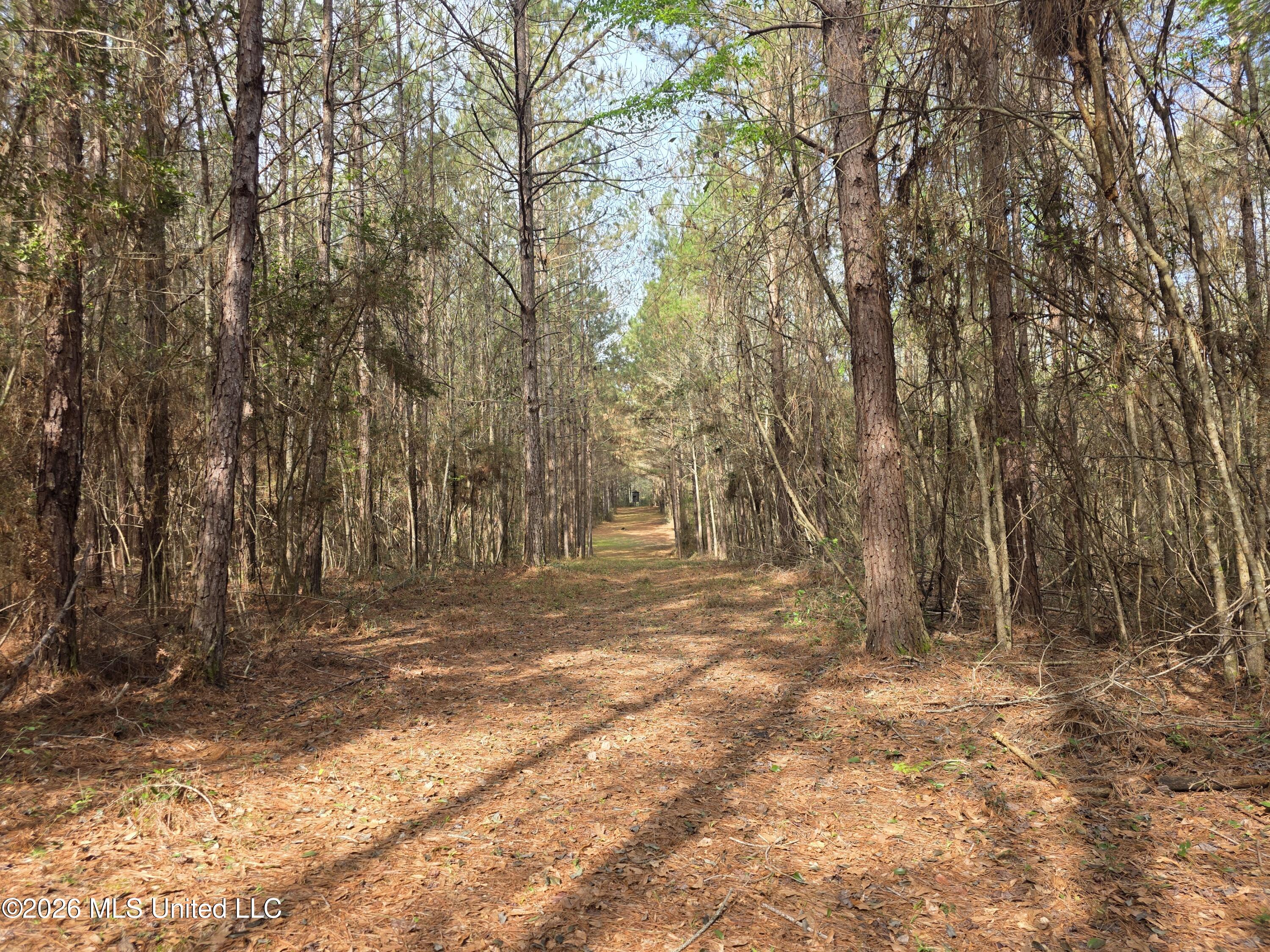 Conerly Drive Property Photo 26