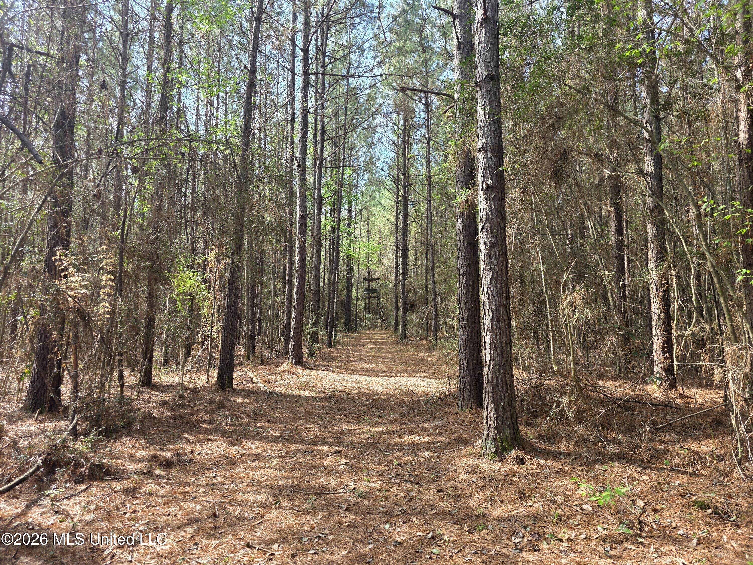 Conerly Drive Property Photo 27