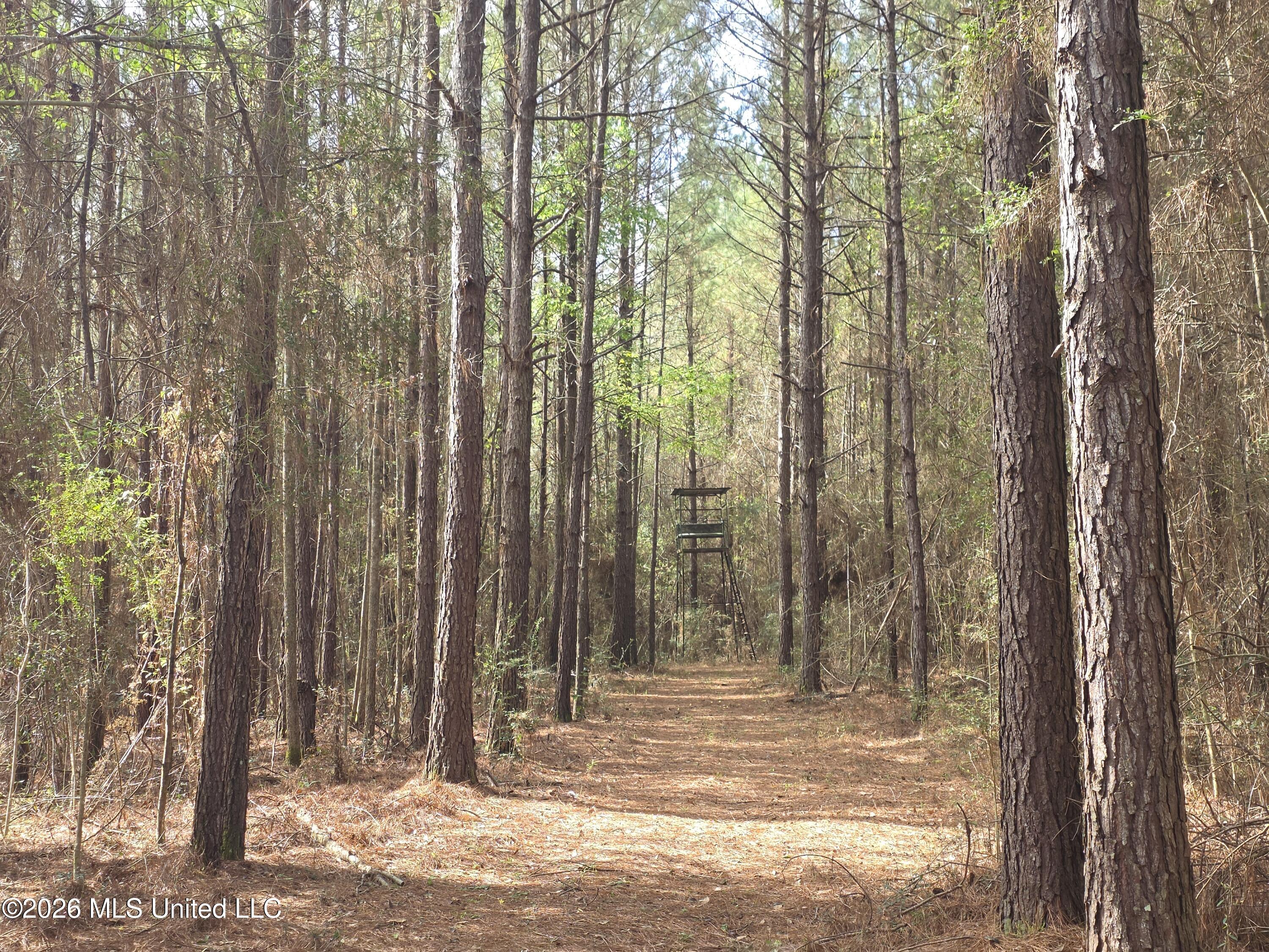 Conerly Drive Property Photo 28