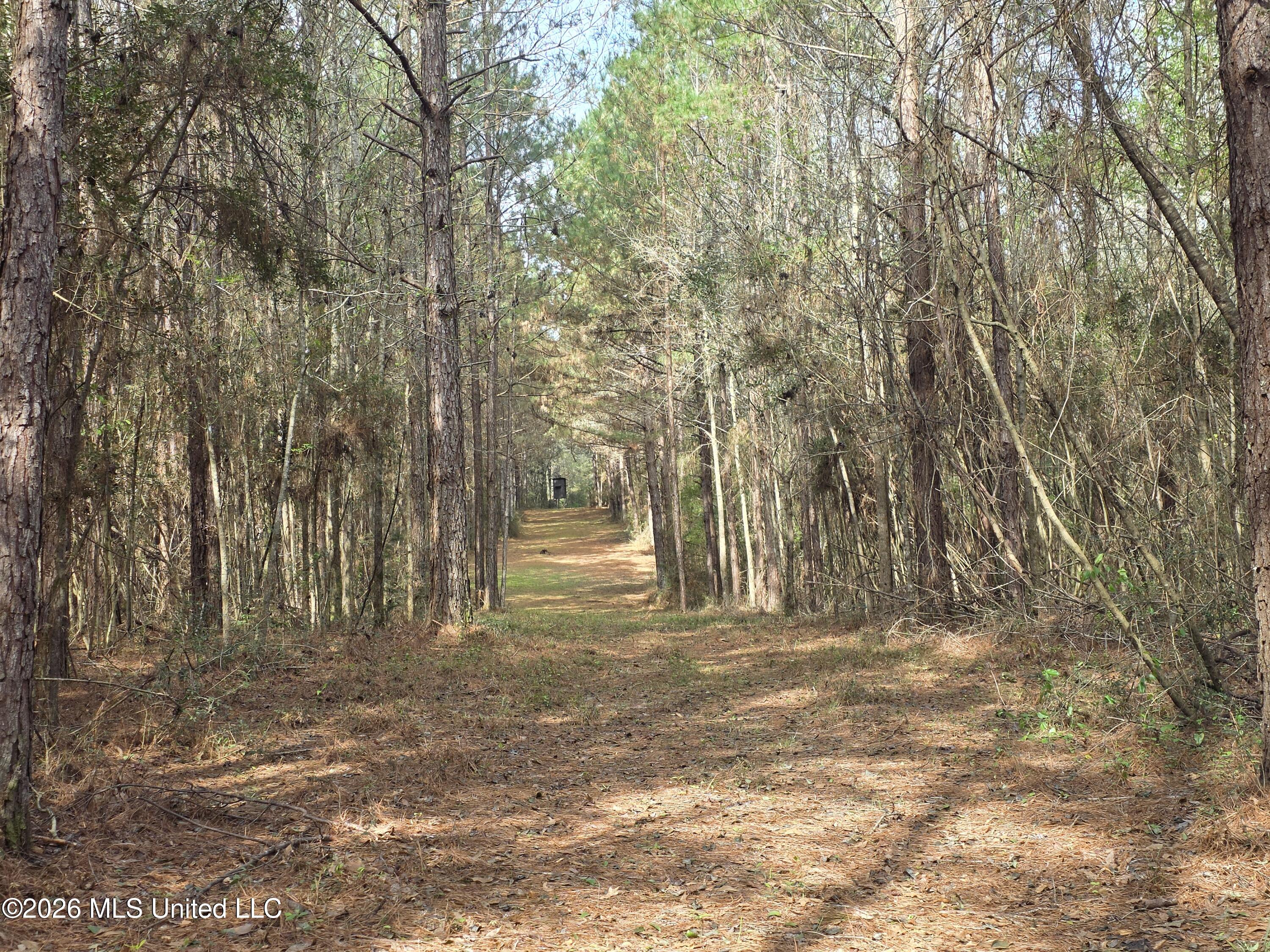 Conerly Drive Property Photo 29
