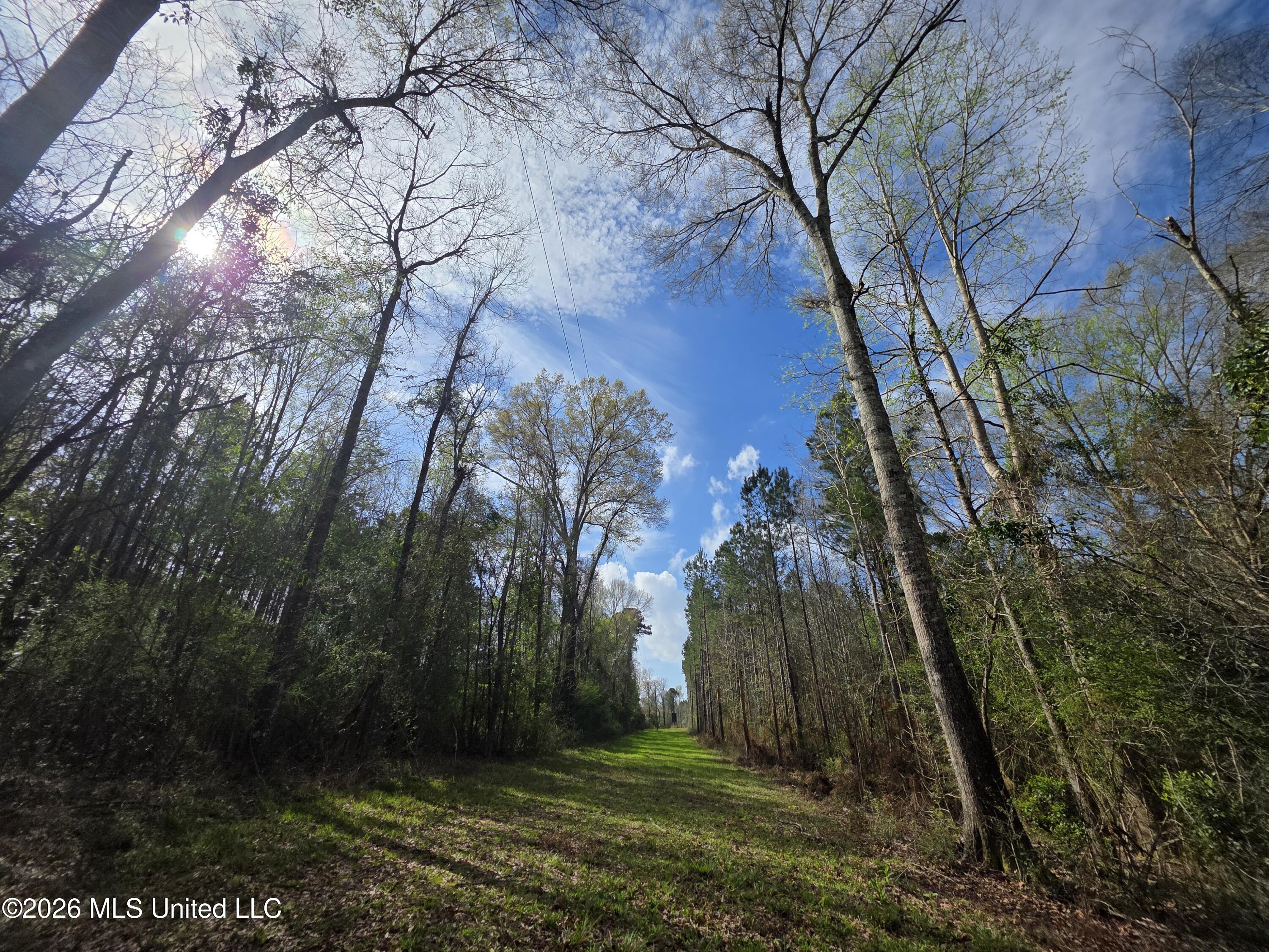 Conerly Drive Property Photo 30