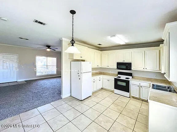 571 King Ranch Road Property Photo 2