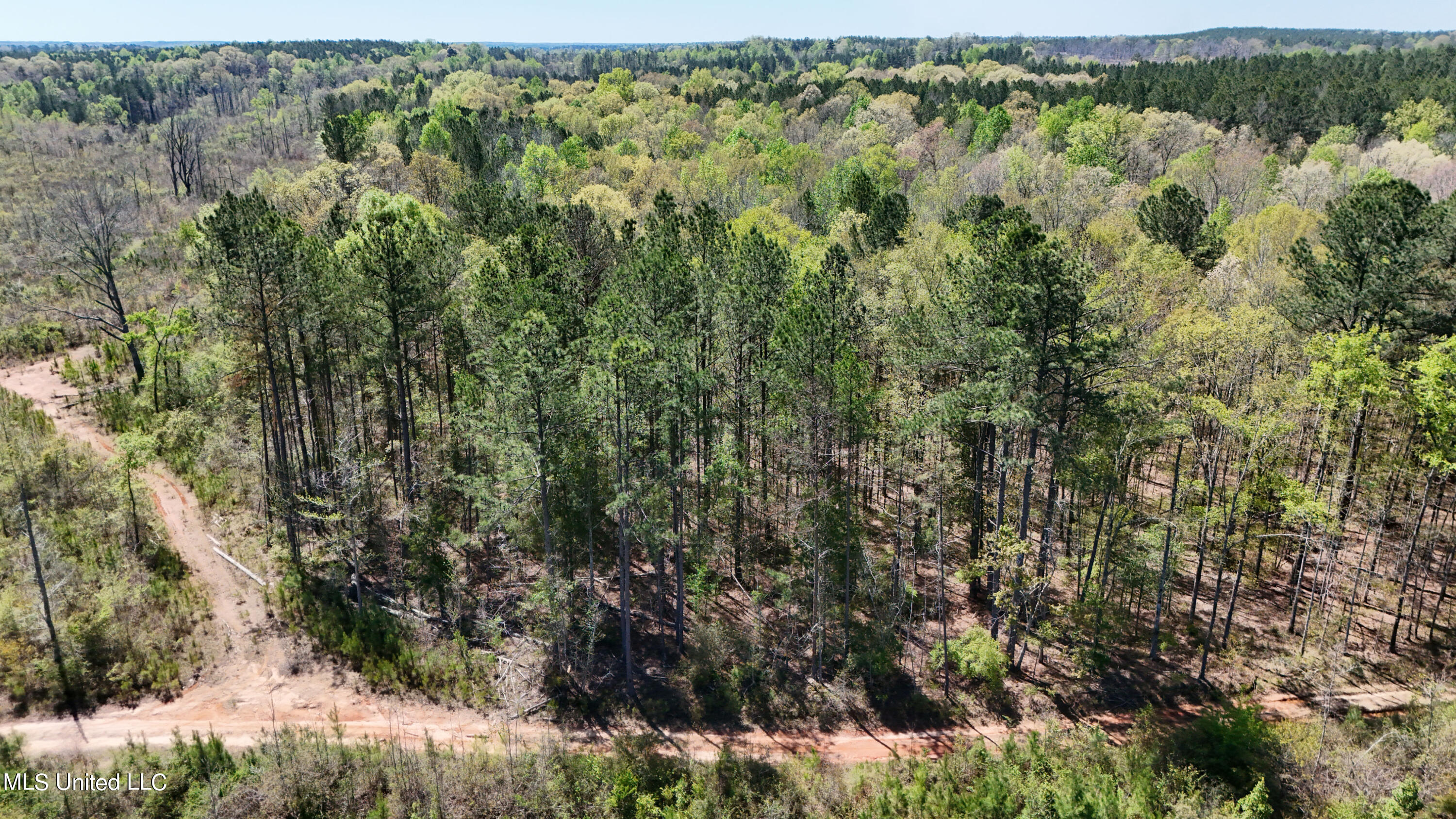0 Hugh Hudnall Property Photo 4