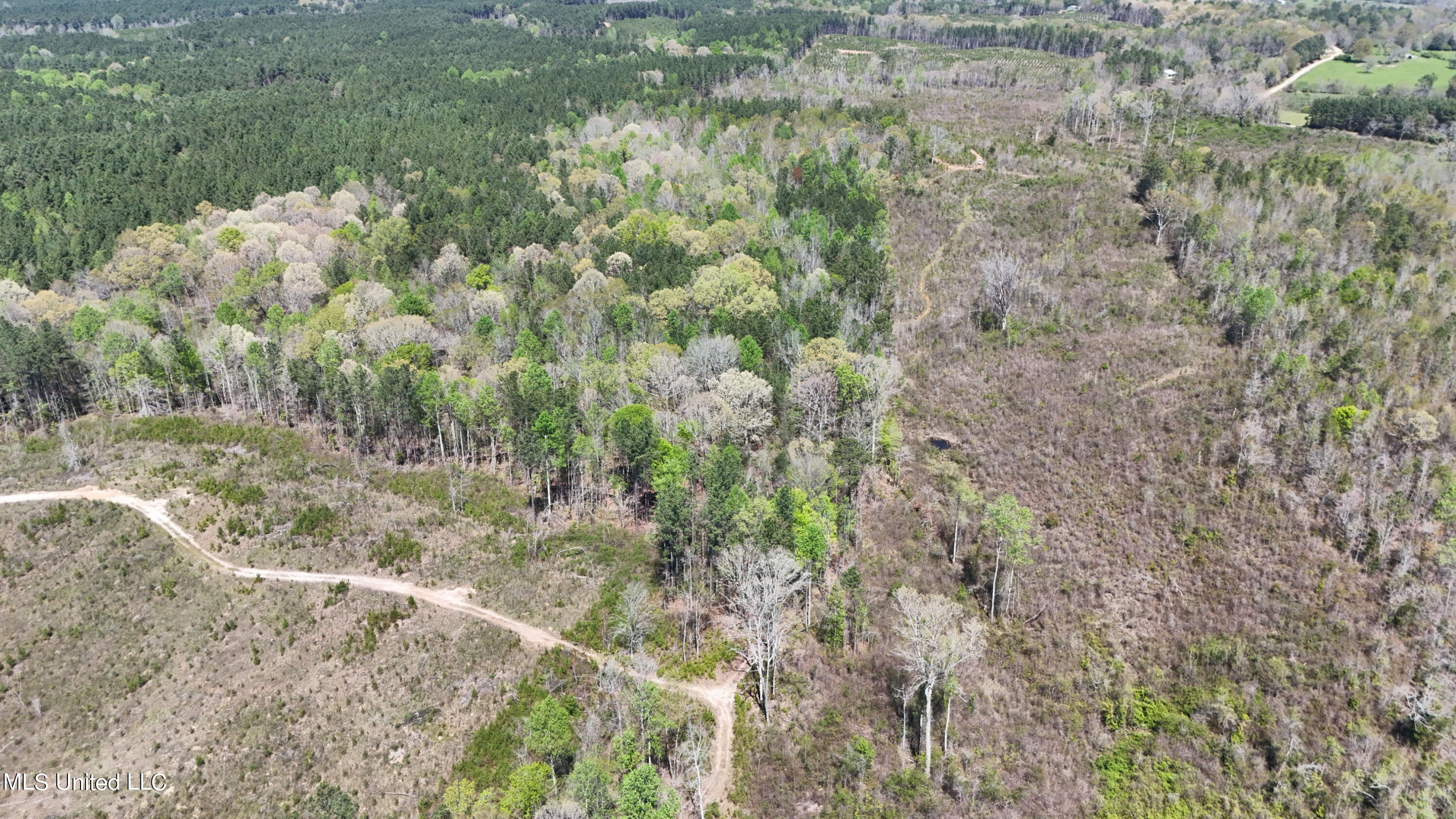 0 Hugh Hudnall Property Photo 11