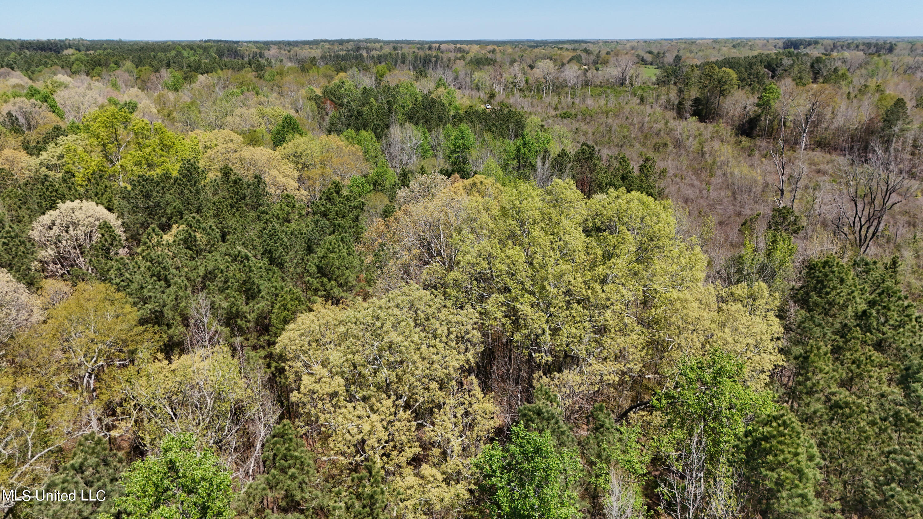 0 Hugh Hudnall Property Photo 13