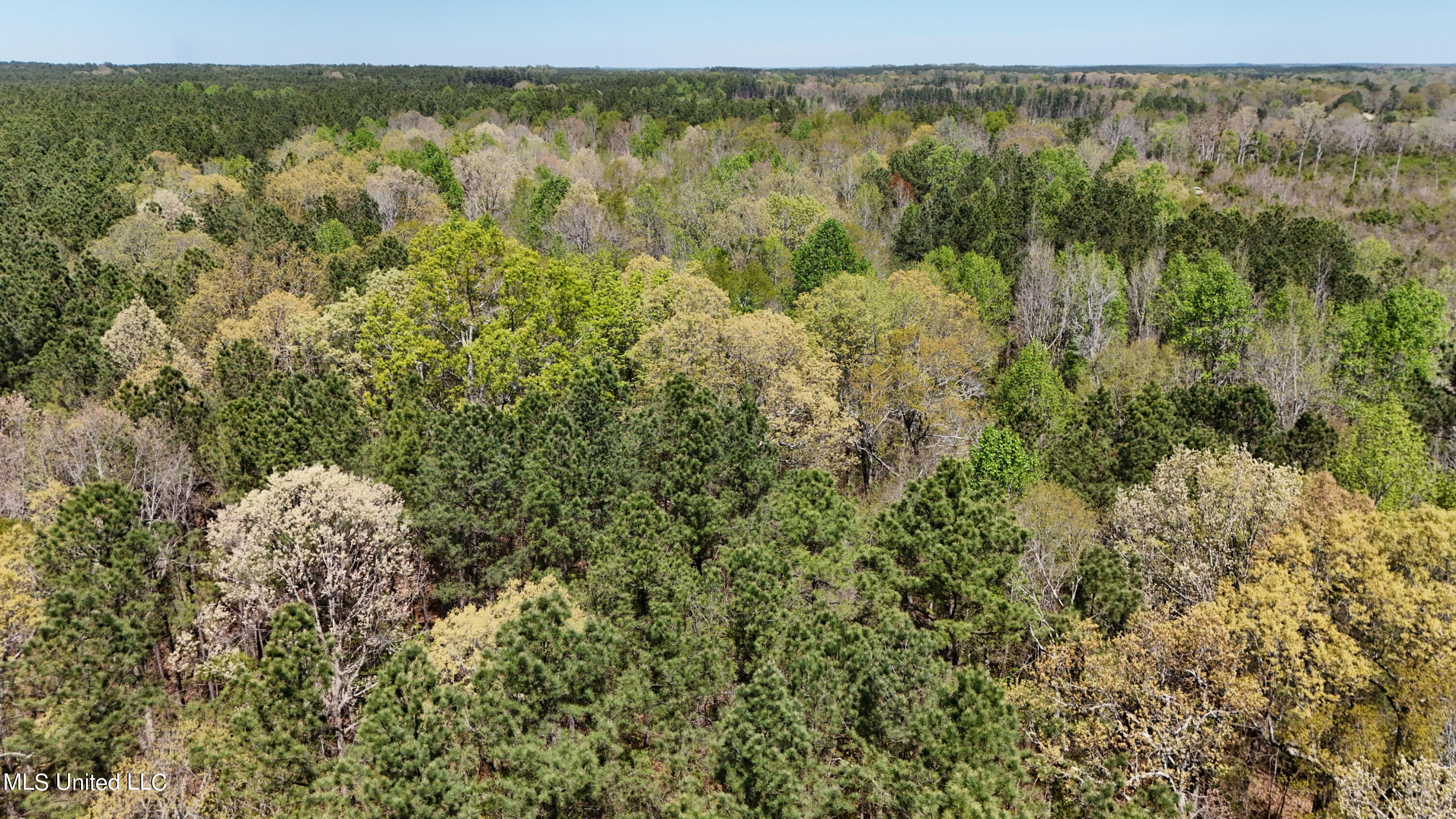0 Hugh Hudnall Property Photo 14