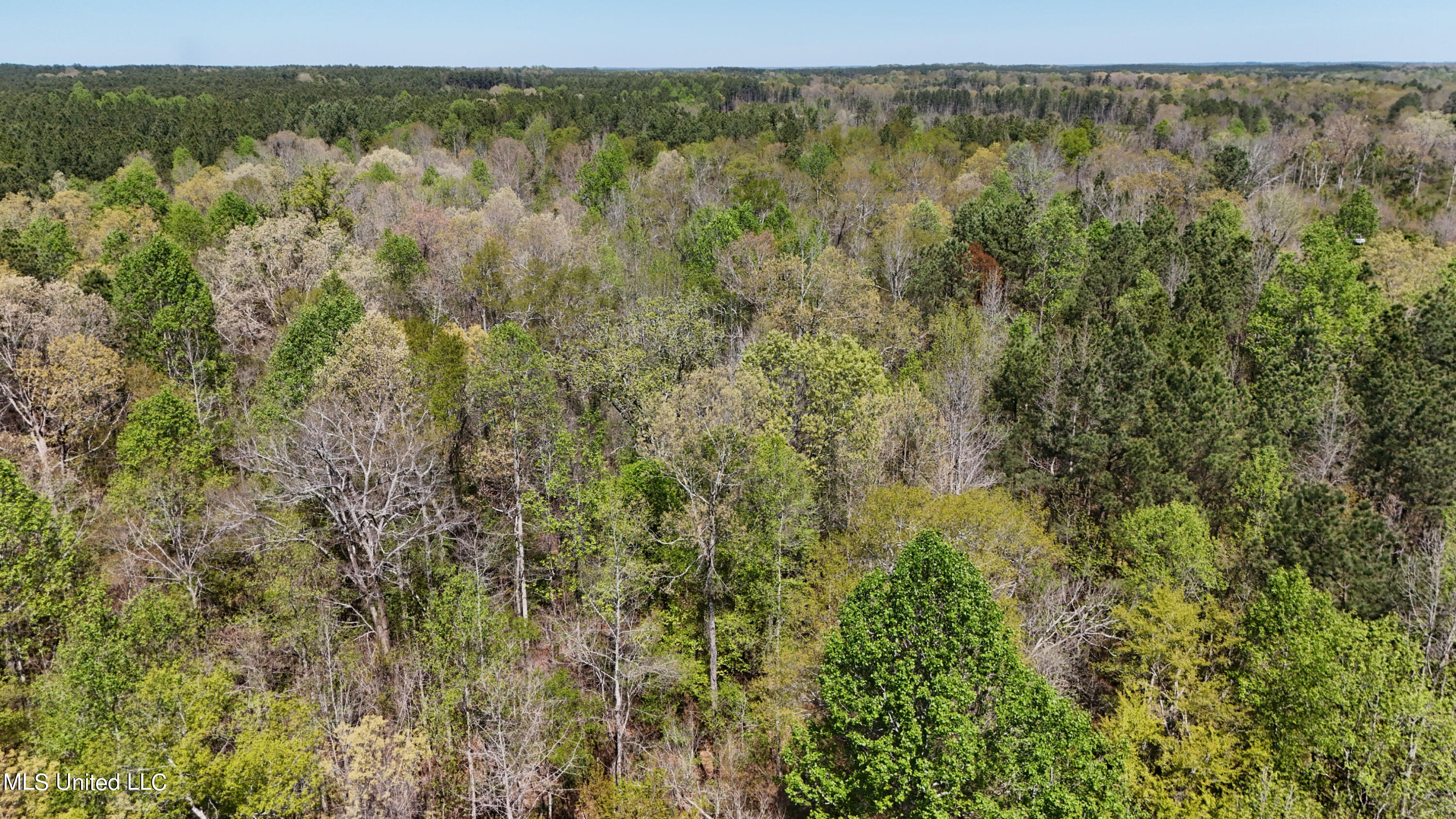 0 Hugh Hudnall Property Photo 15
