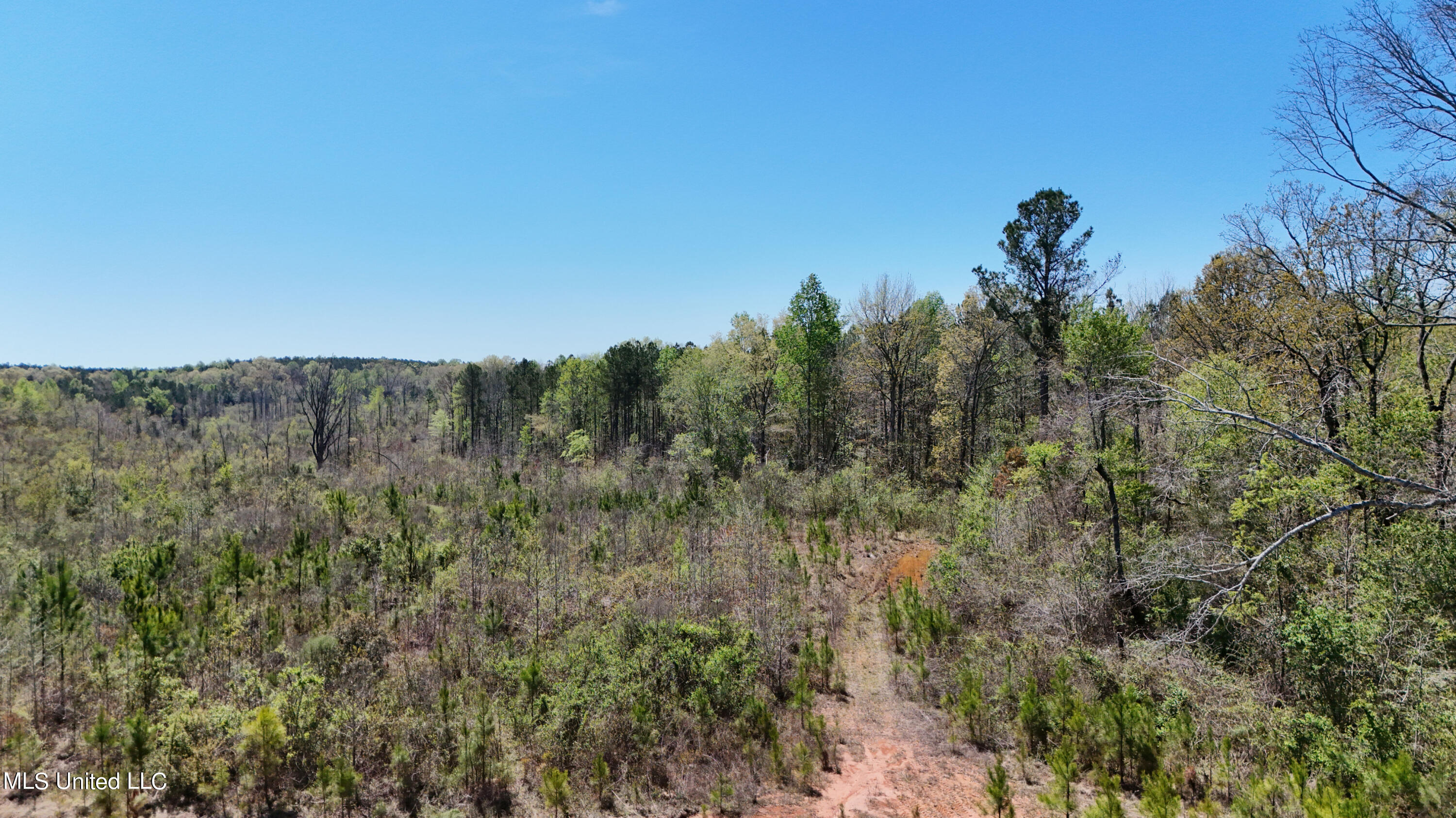 0 Hugh Hudnall Property Photo 17