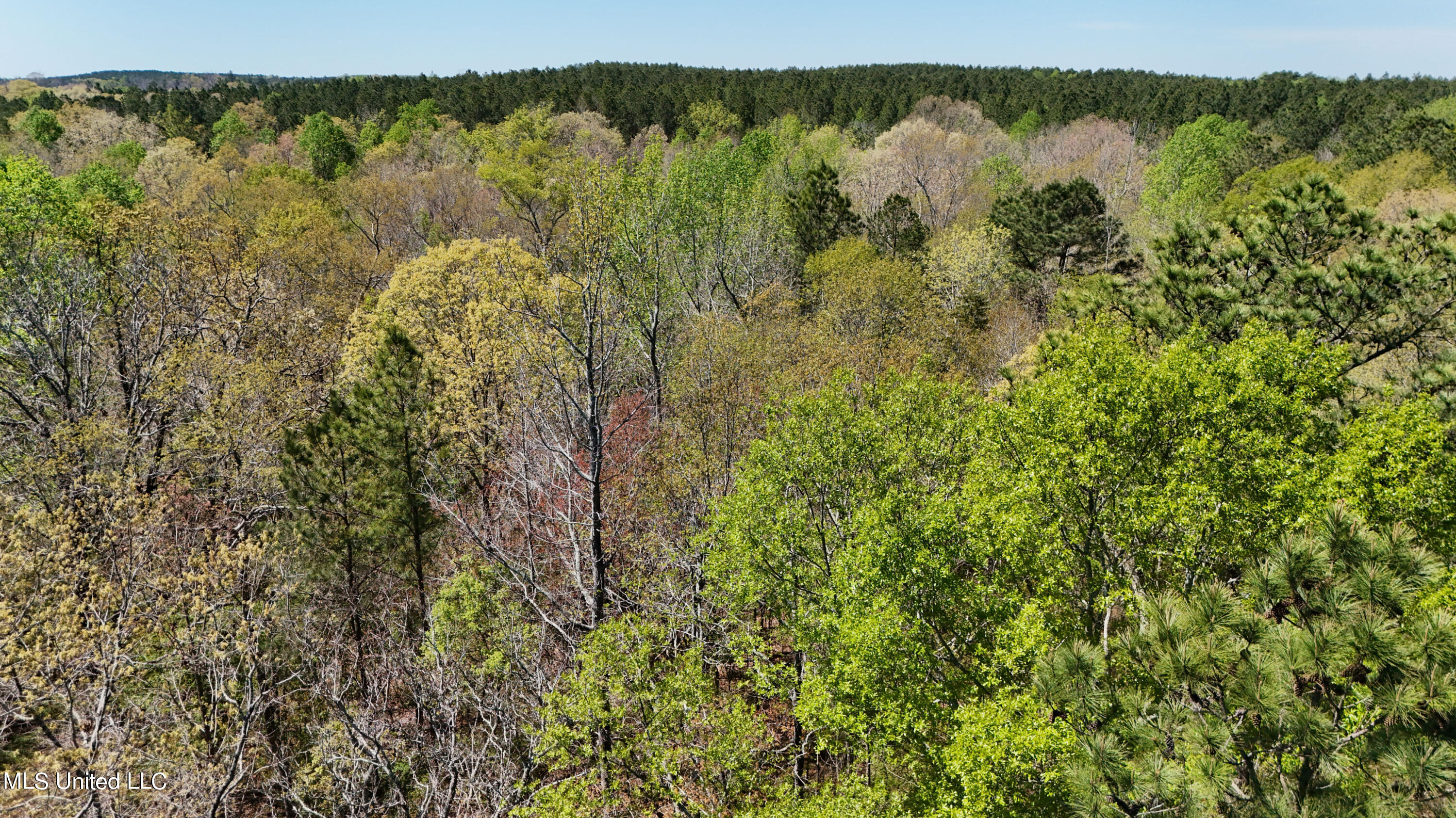 0 Hugh Hudnall Property Photo 19