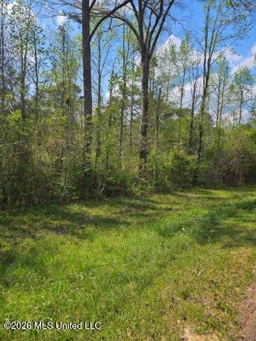 I-55 S Interstate 55 Property Photo 2
