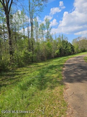 I-55 S Interstate 55 Property Photo 5