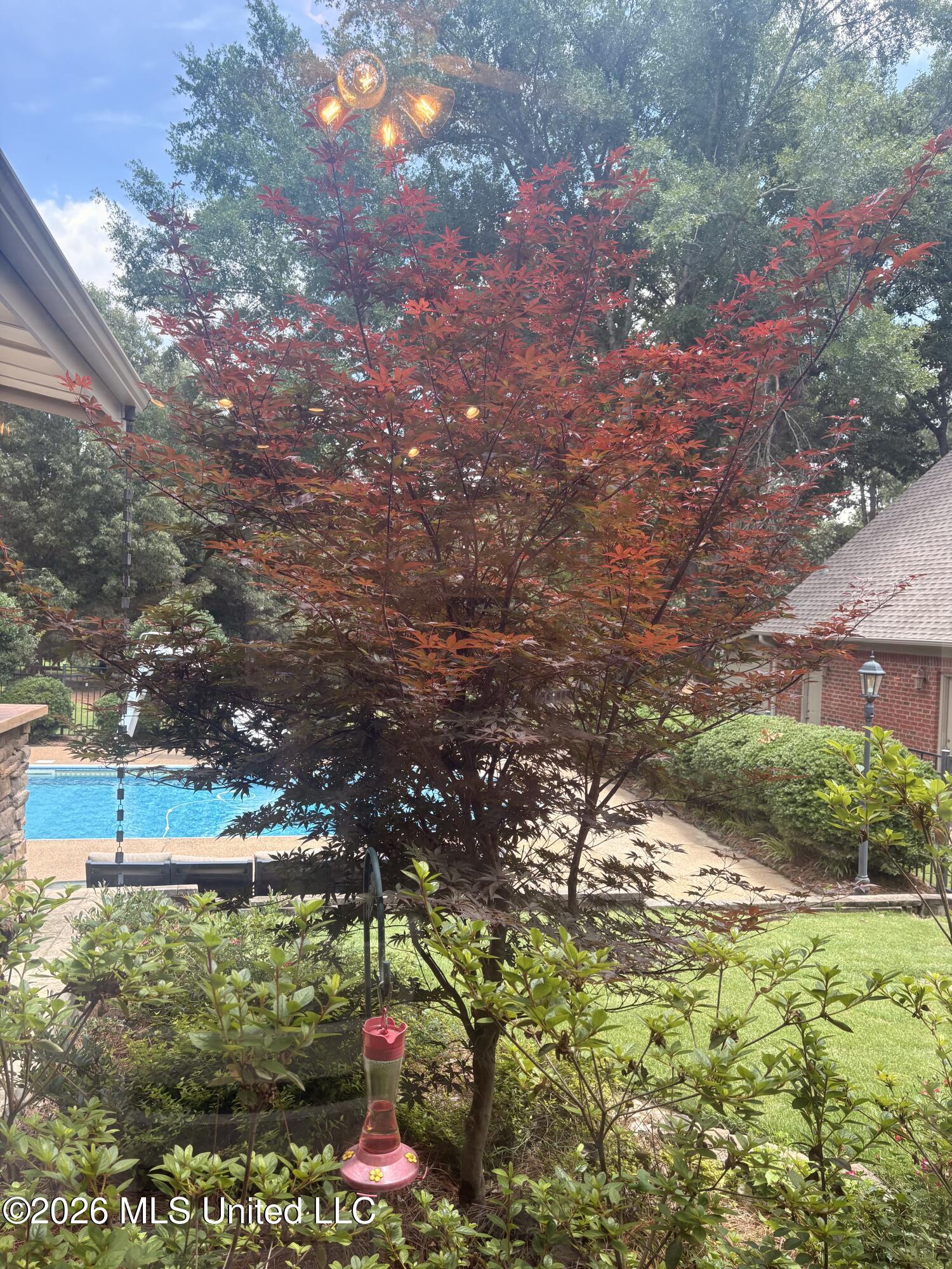 1290 S Robertson Road Property Photo 43